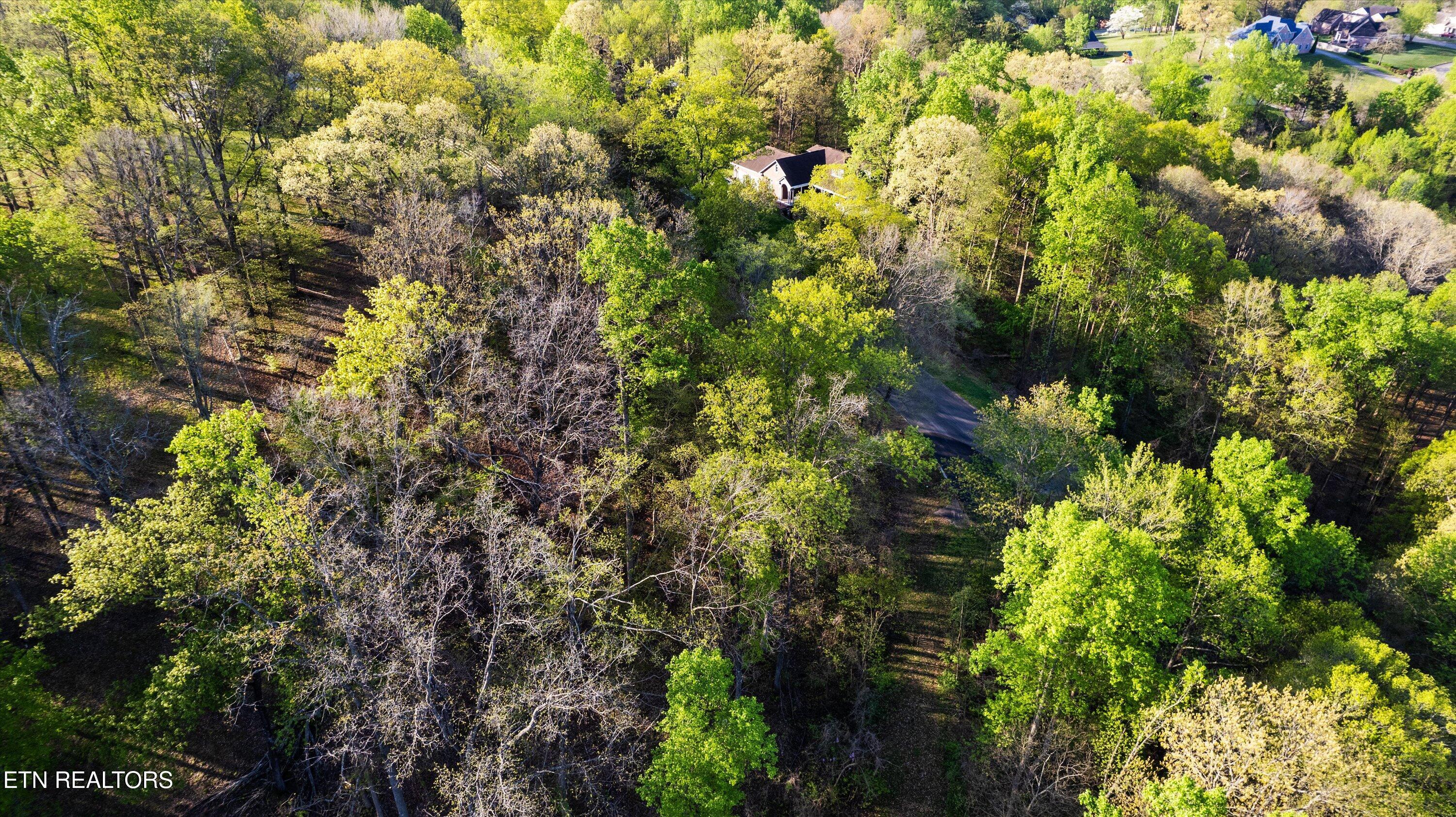 Lot 39 Apple Tree Drive Clinton TN 37716