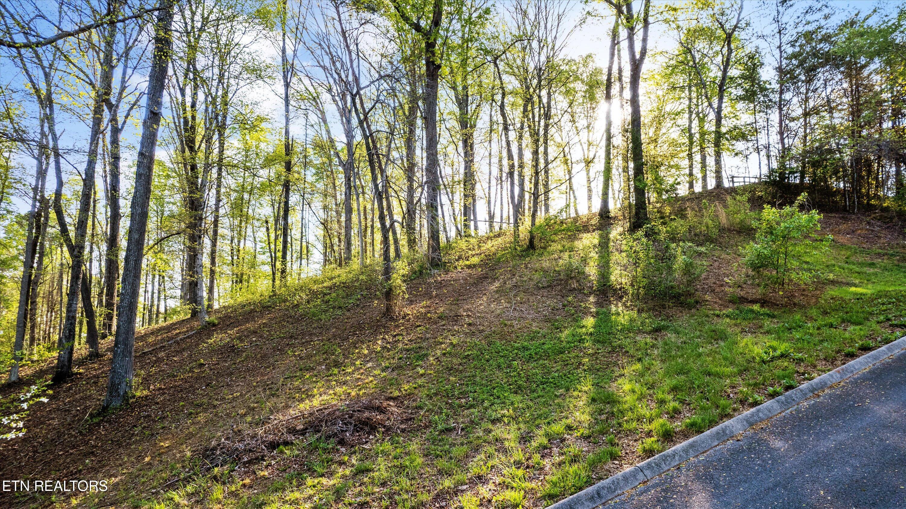 Lot 39 Apple Tree Drive Clinton TN 37716