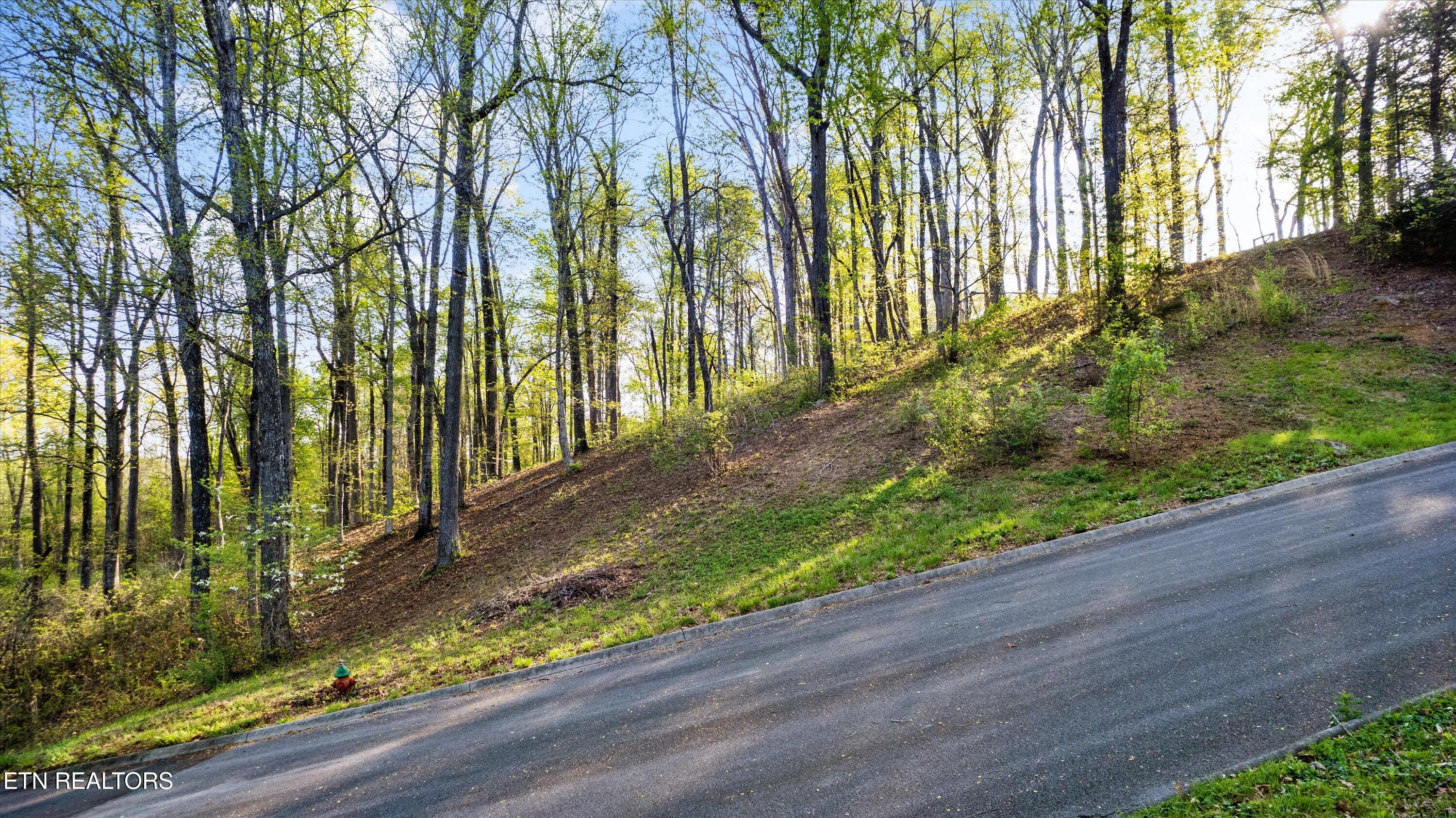 Lot 39 Apple Tree Drive Clinton TN 37716