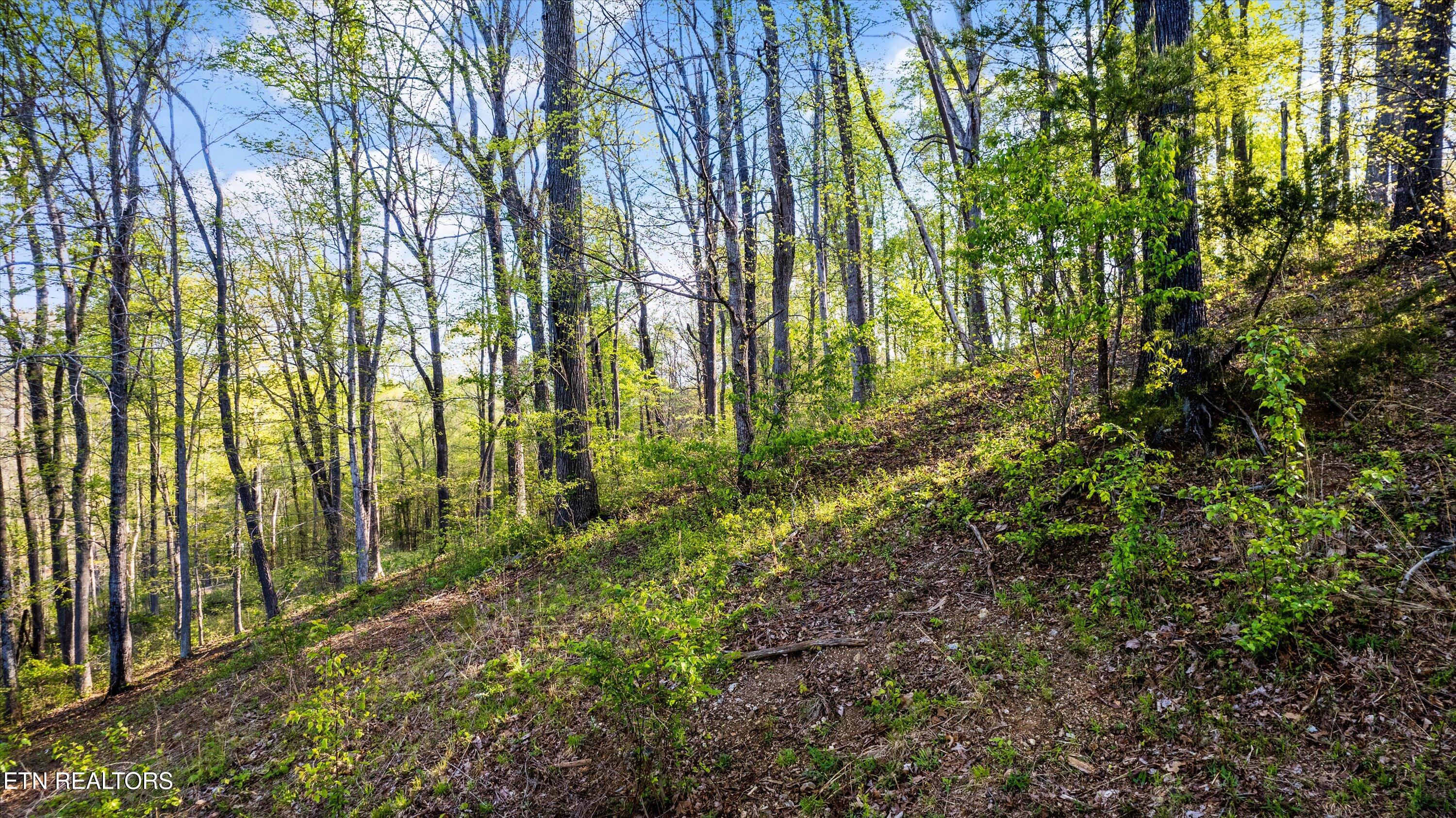 Lot 39 Apple Tree Drive Clinton TN 37716