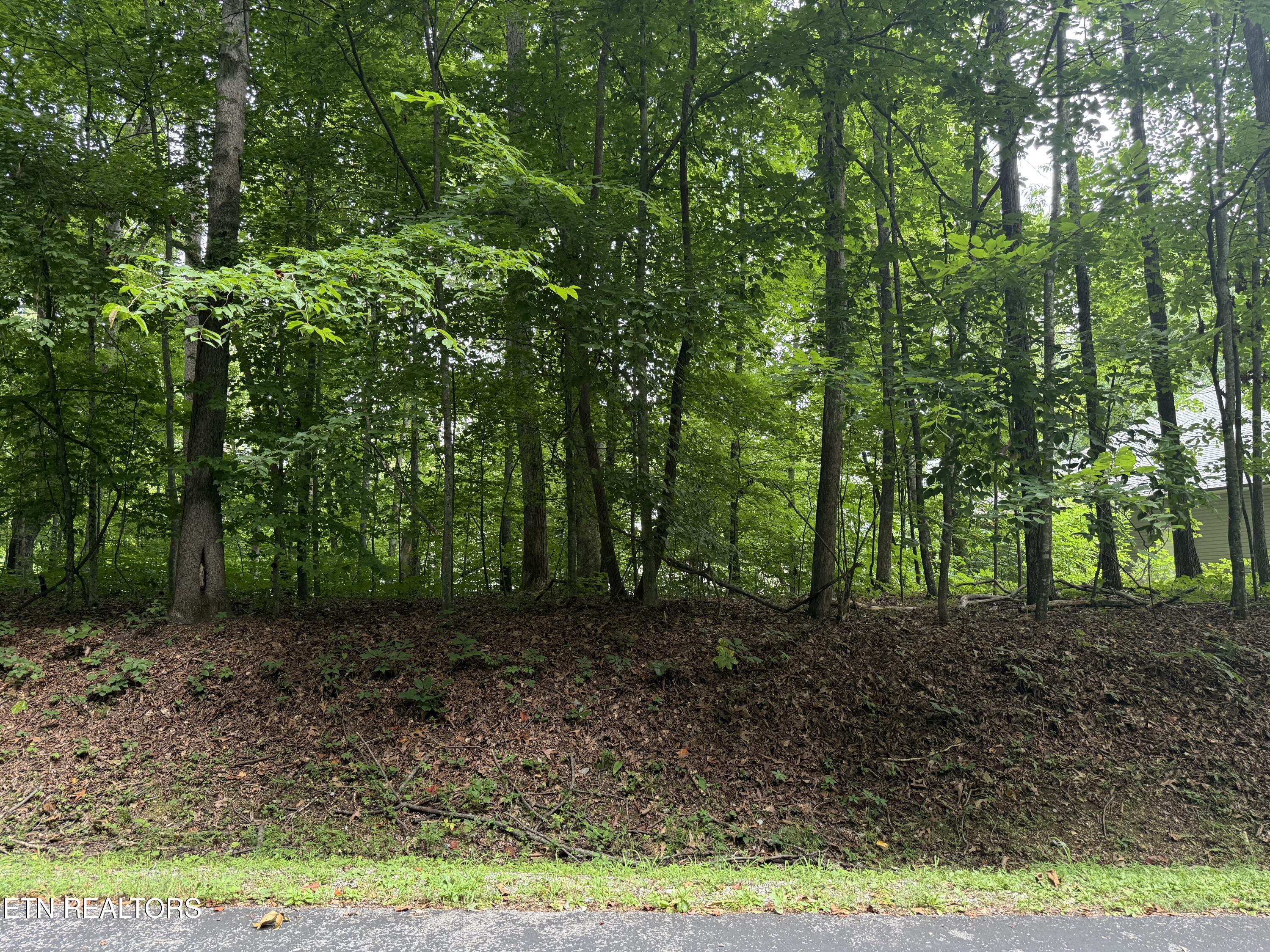 324 Dudala Point Loudon TN 37774