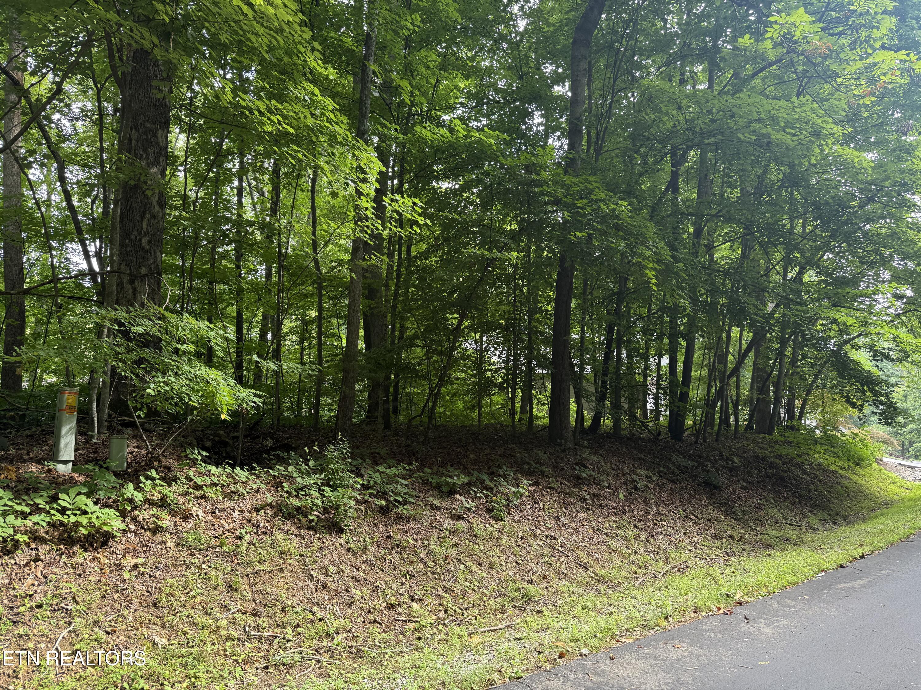 324 Dudala Point Loudon TN 37774