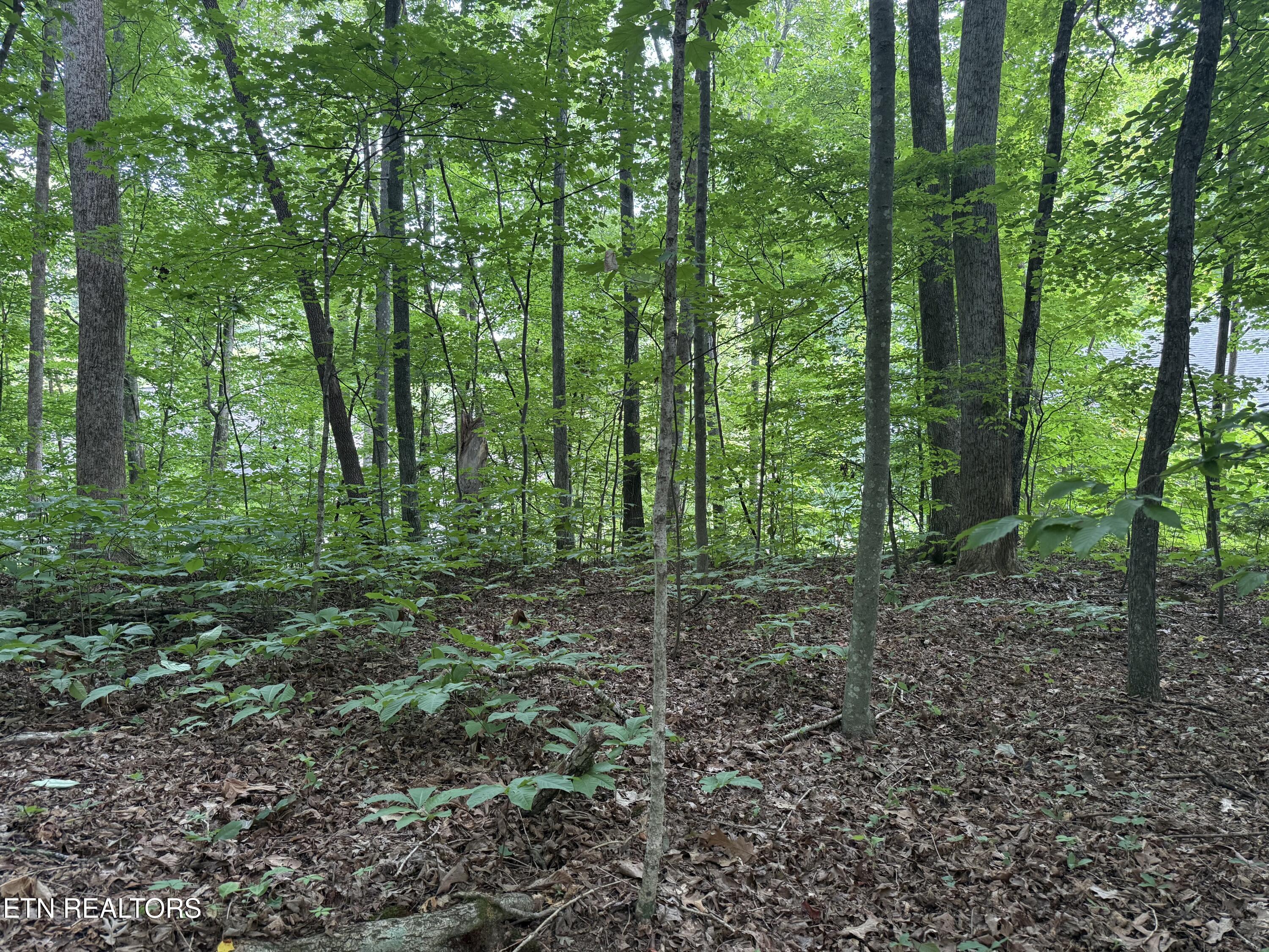 324 Dudala Point Loudon TN 37774