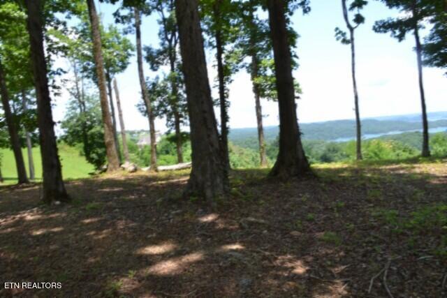 Lot 27c E Rockfish Road Hilham TN 38568