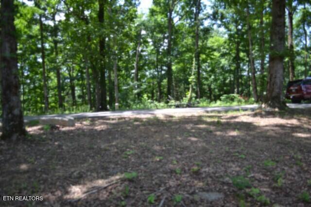 Lot 27c E Rockfish Road Hilham TN 38568