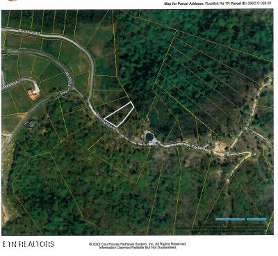 Lot 27c E Rockfish Road Hilham TN 38568