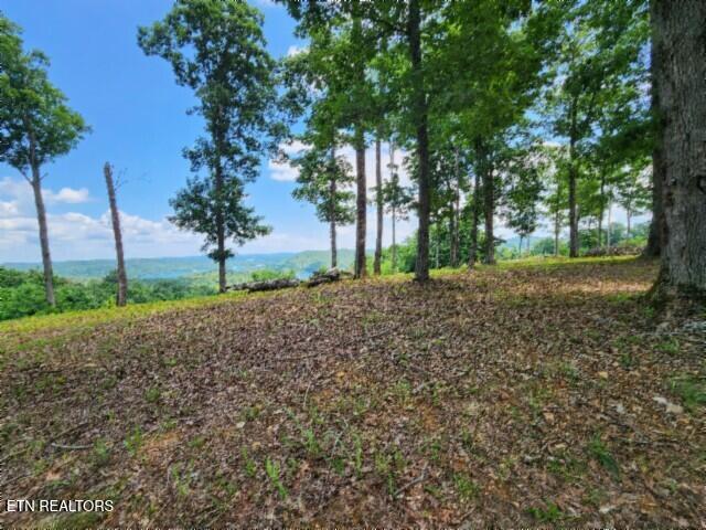 Lot 27c E Rockfish Road Hilham TN 38568