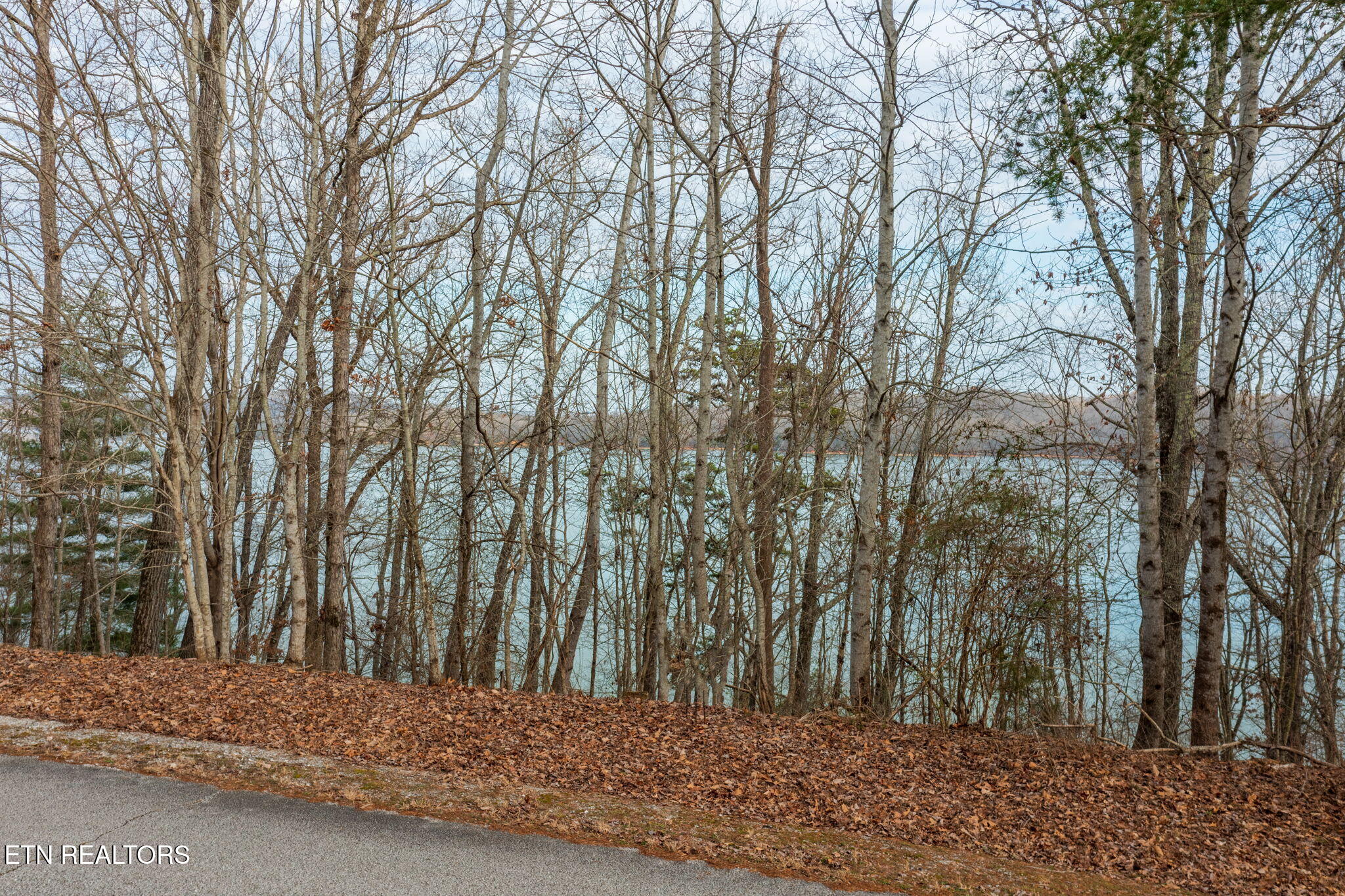 Lot 127 Thief Neck Drive Rockwood TN 37854