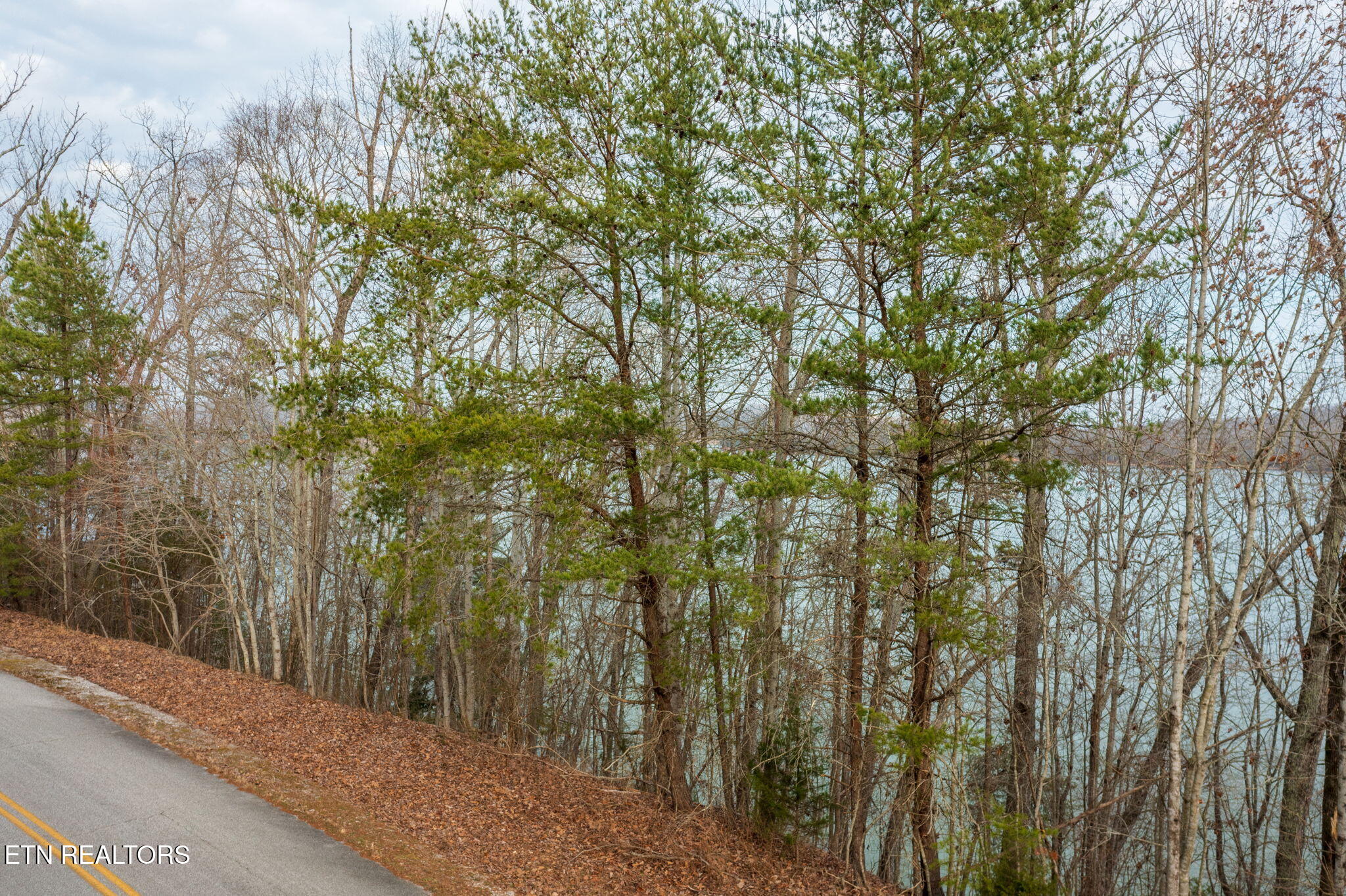 Lot 127 Thief Neck Drive Rockwood TN 37854