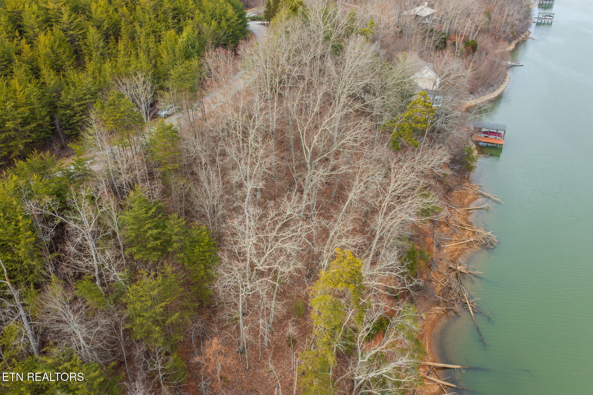 Lot 127 Thief Neck Drive Rockwood TN 37854