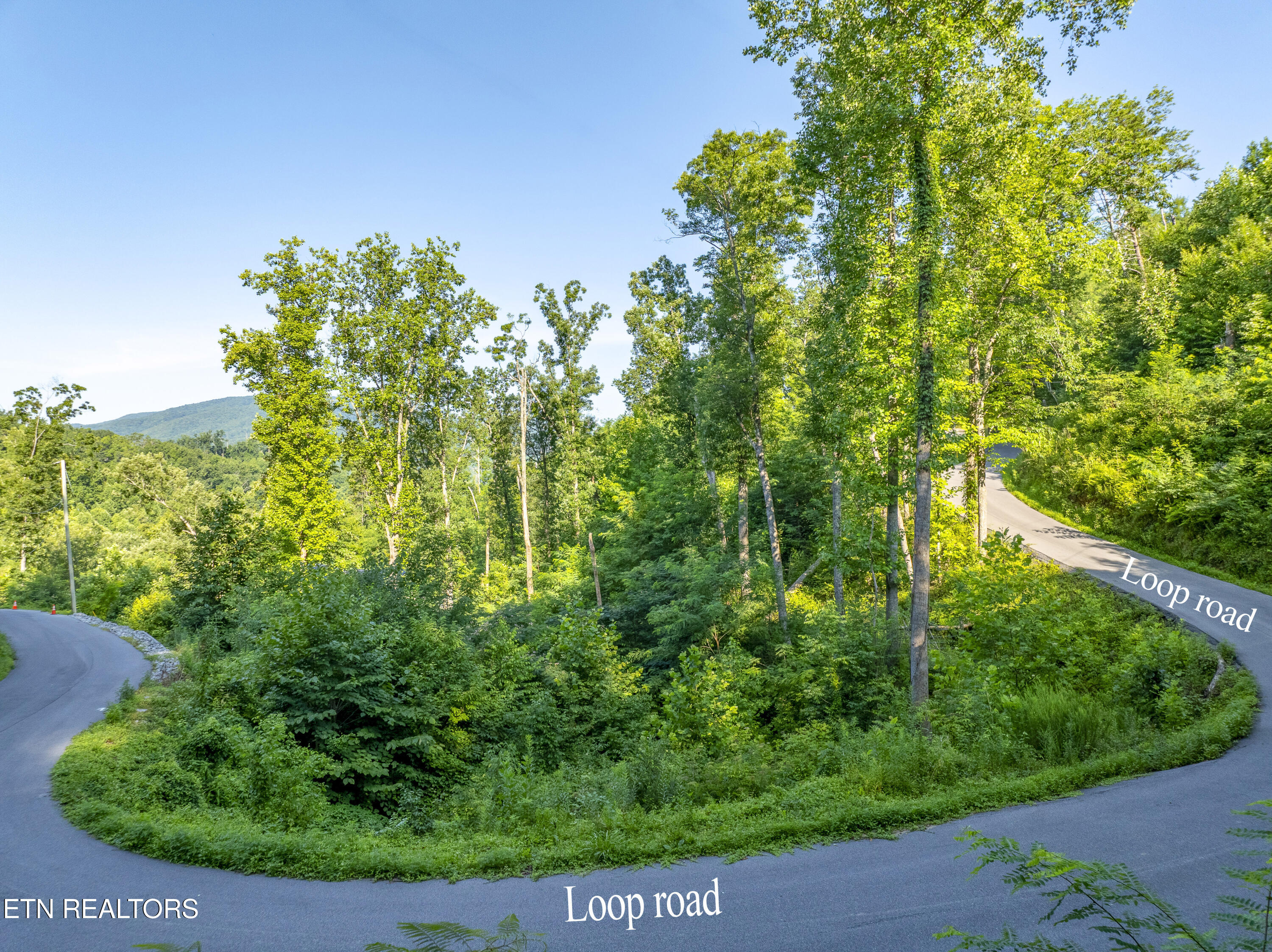 Loop Road Gatlinburg TN 37738