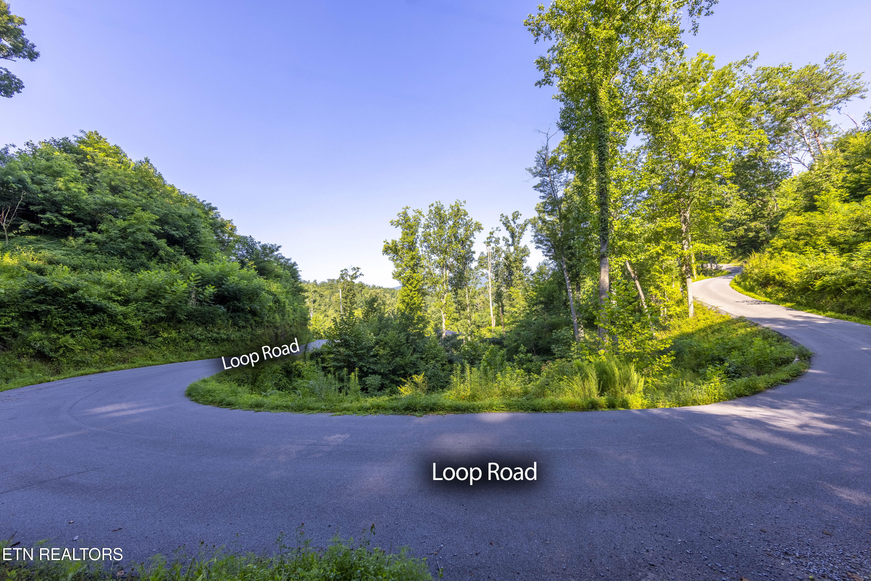 Loop Road Gatlinburg TN 37738