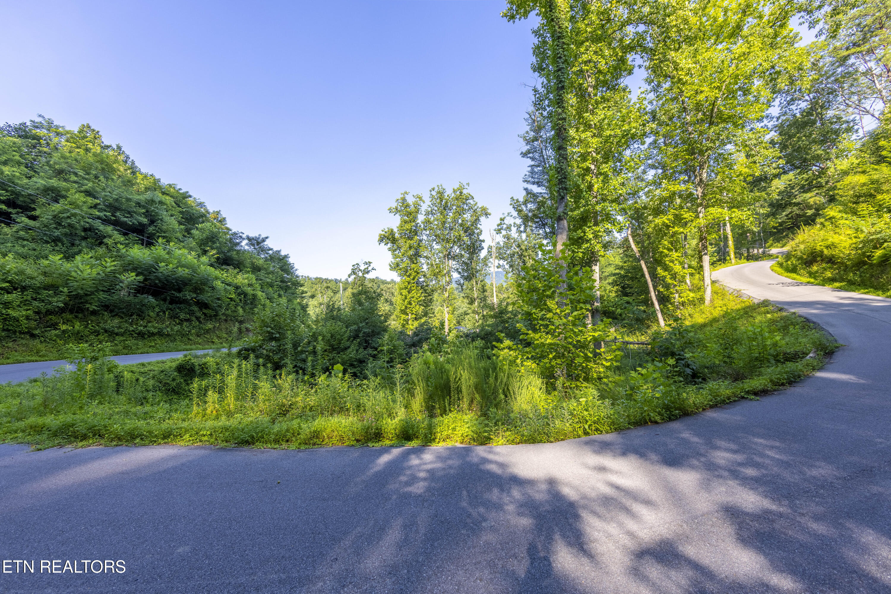 Loop Road Gatlinburg TN 37738