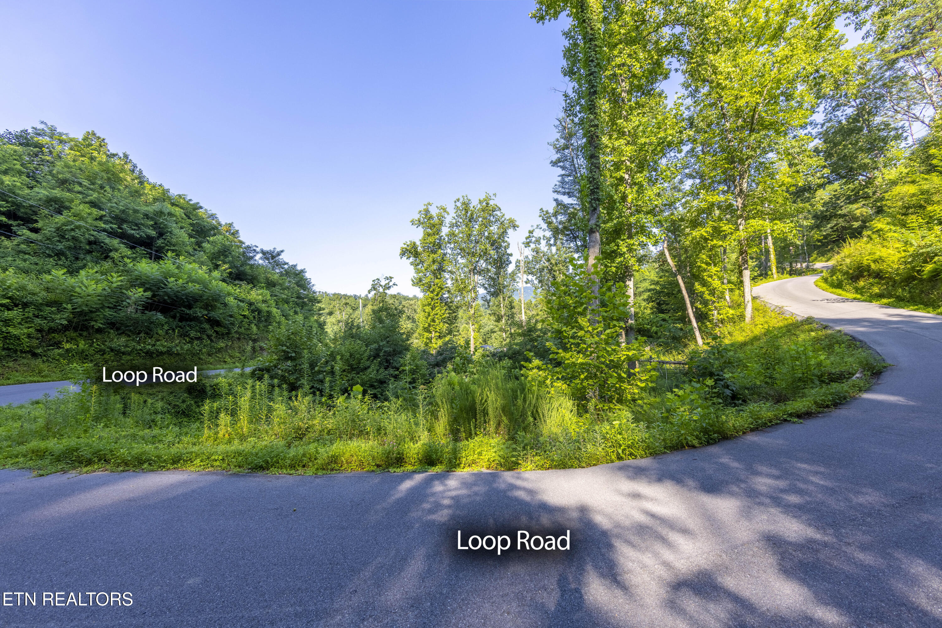 Loop Road Gatlinburg TN 37738
