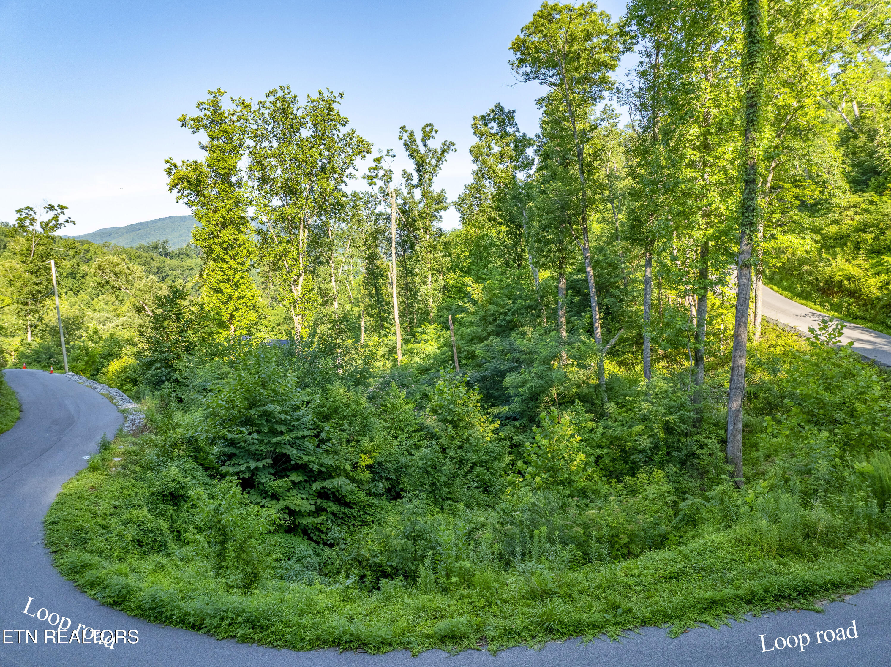 Loop Road Gatlinburg TN 37738