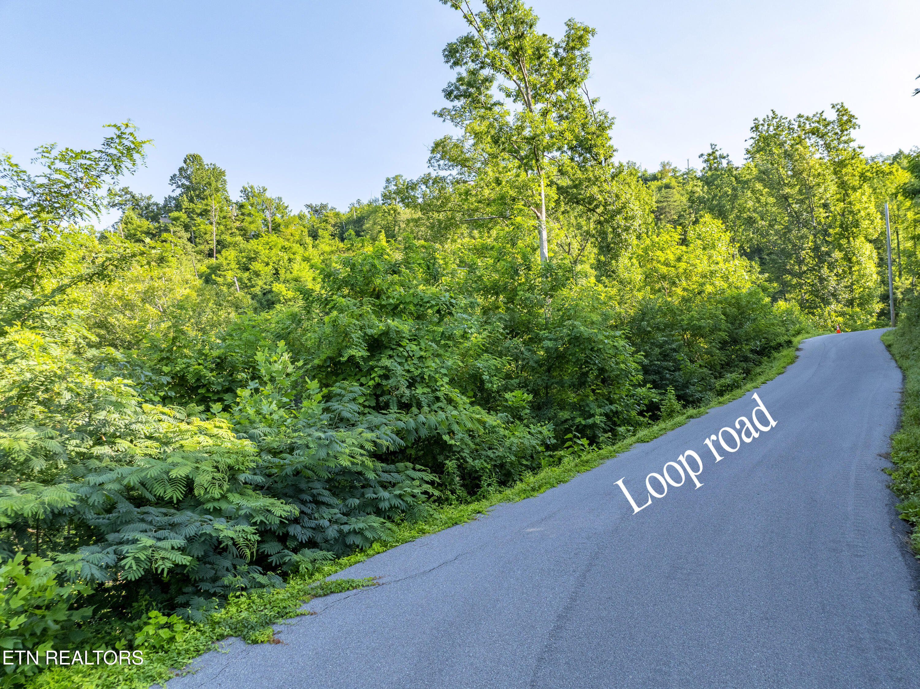 Loop Road Gatlinburg TN 37738