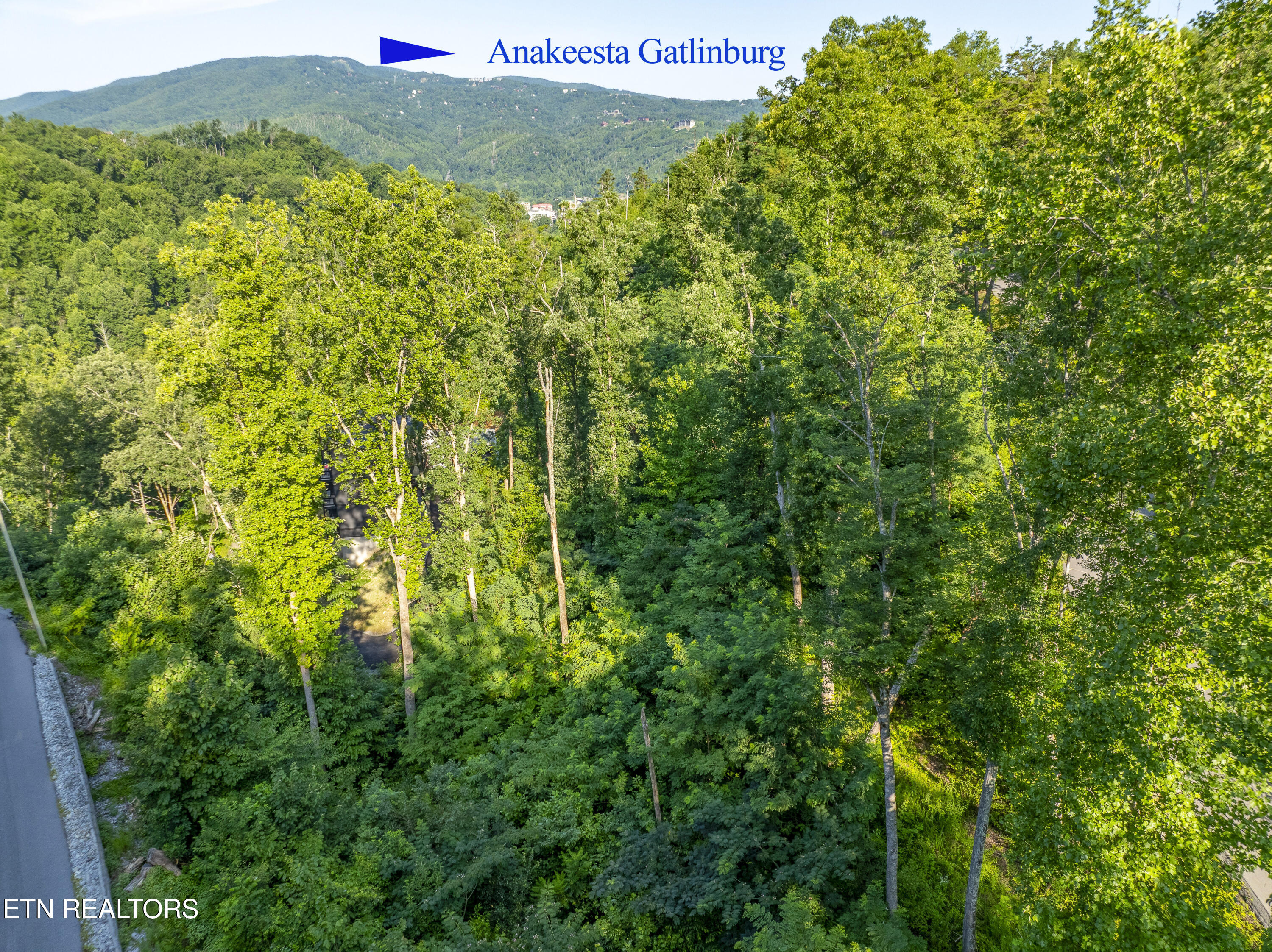 Loop Road Gatlinburg TN 37738