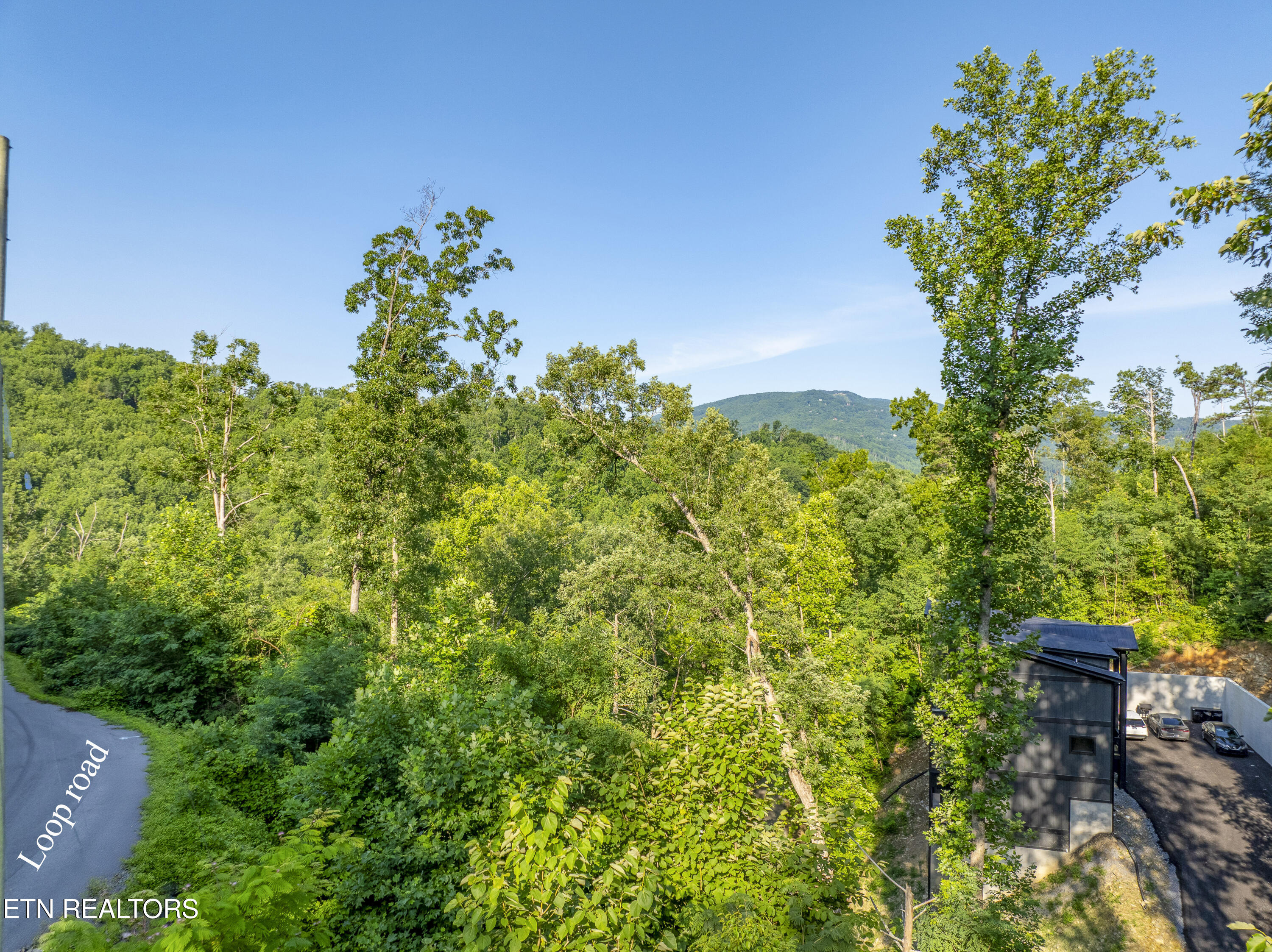 Loop Road Gatlinburg TN 37738