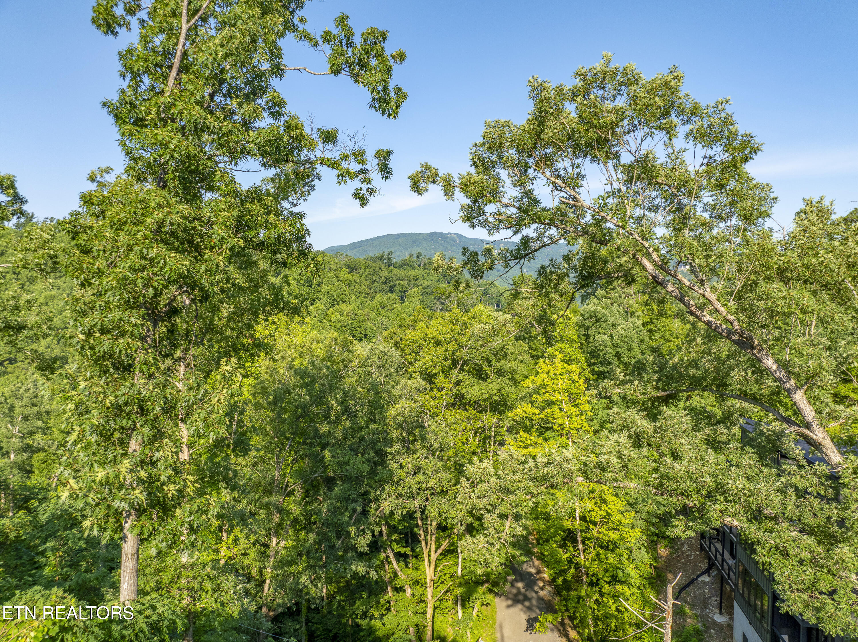 Loop Road Gatlinburg TN 37738