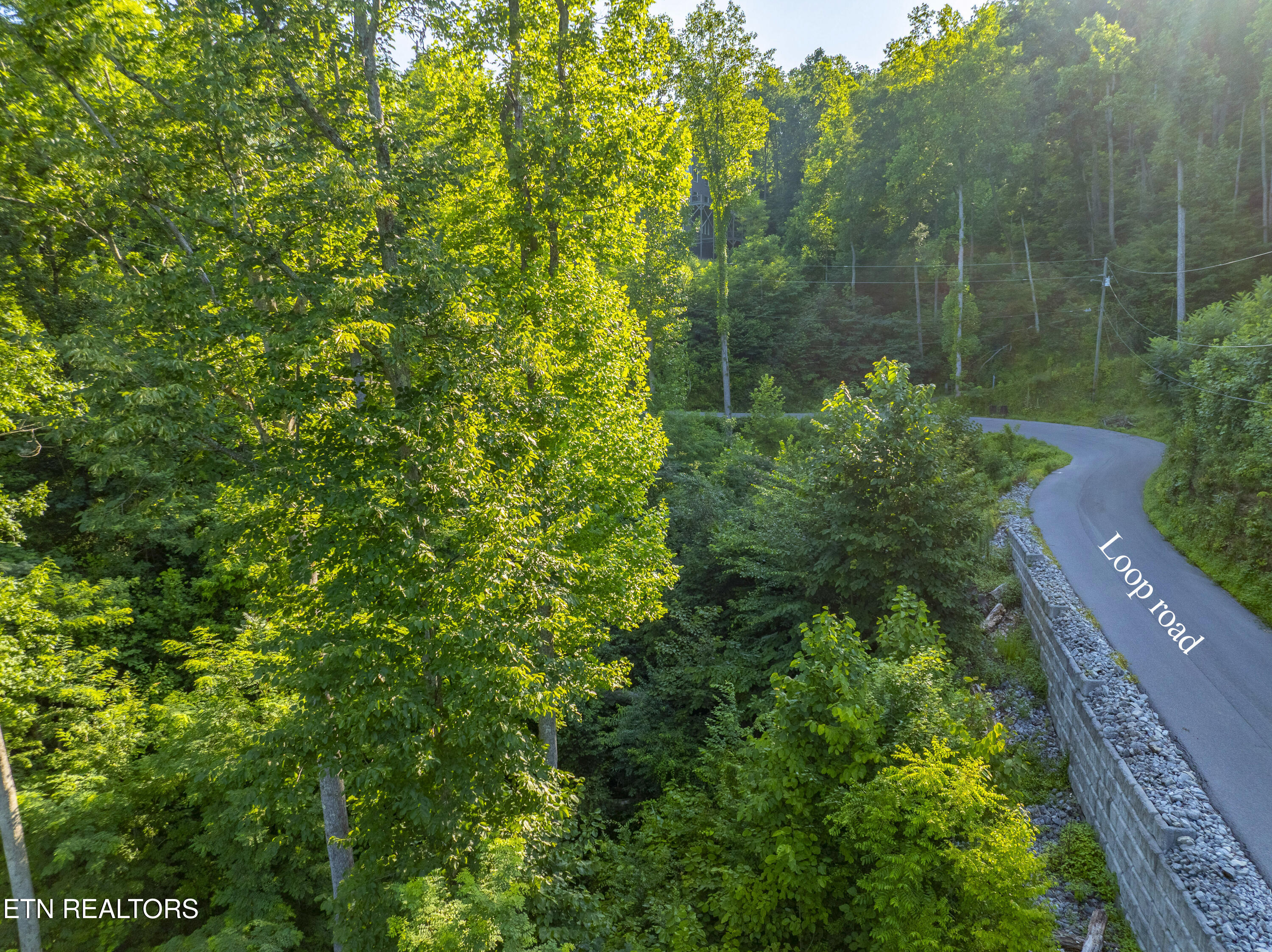 Loop Road Gatlinburg TN 37738