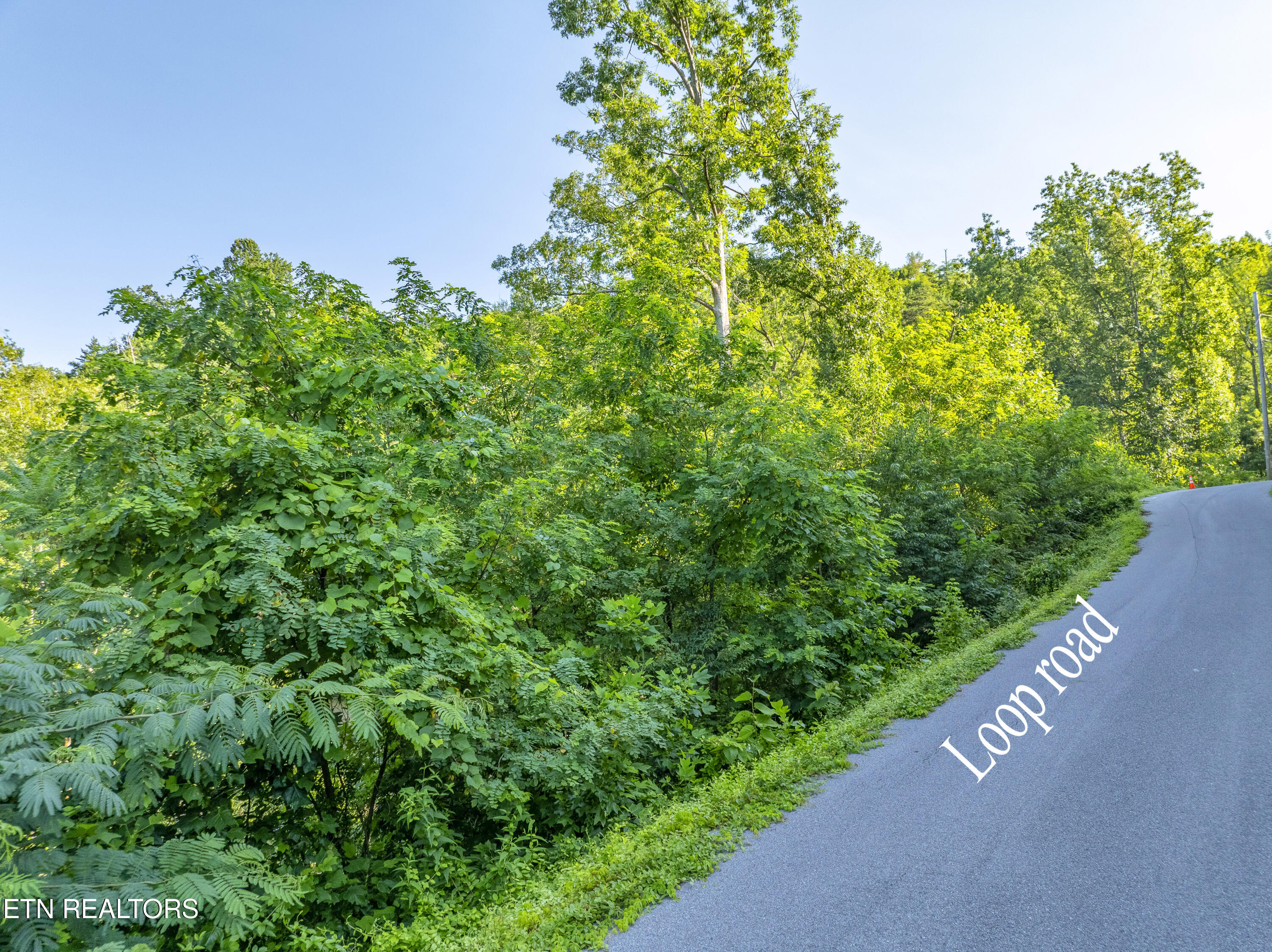 Loop Road Gatlinburg TN 37738
