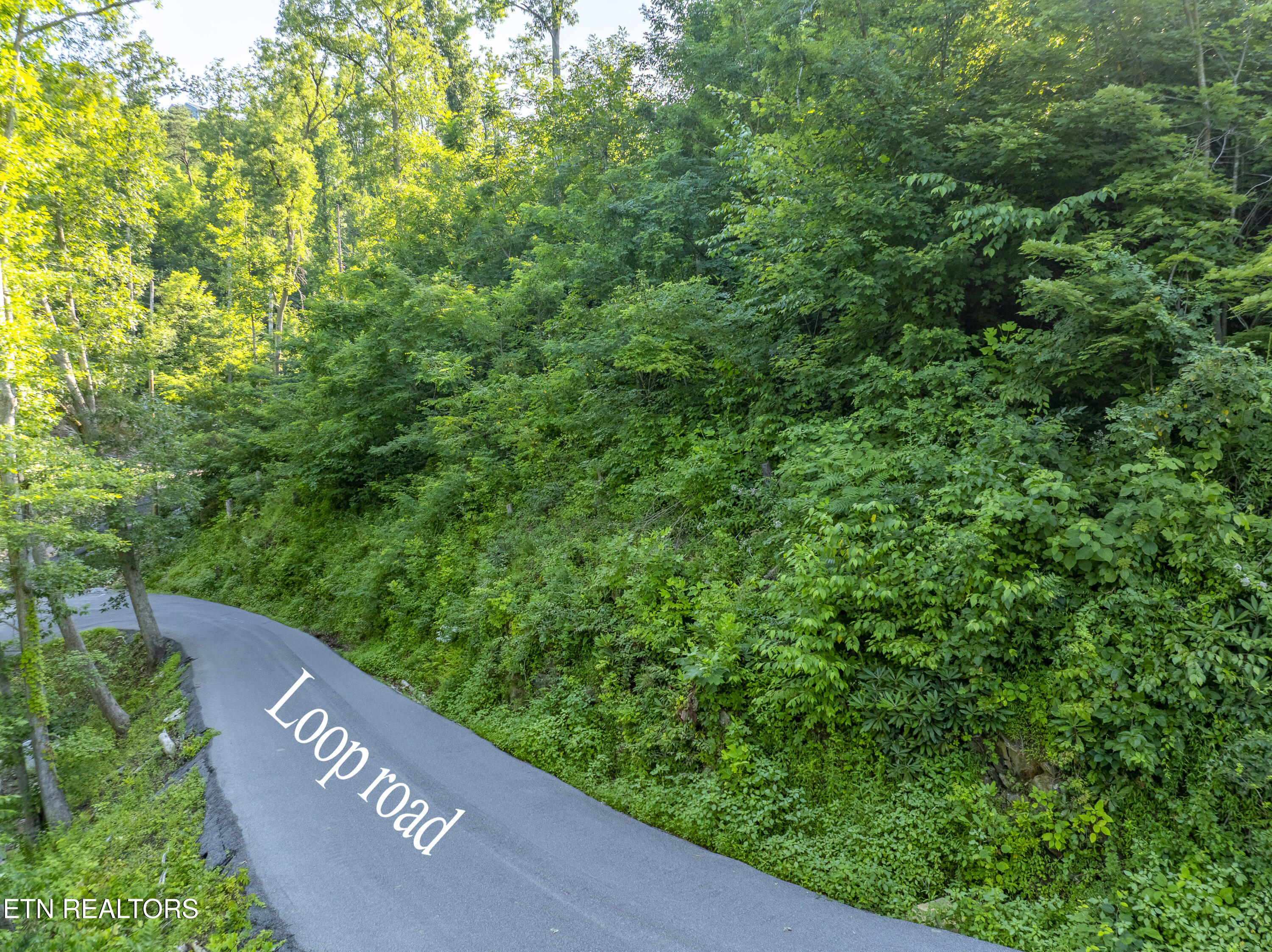 Loop Road Gatlinburg TN 37738