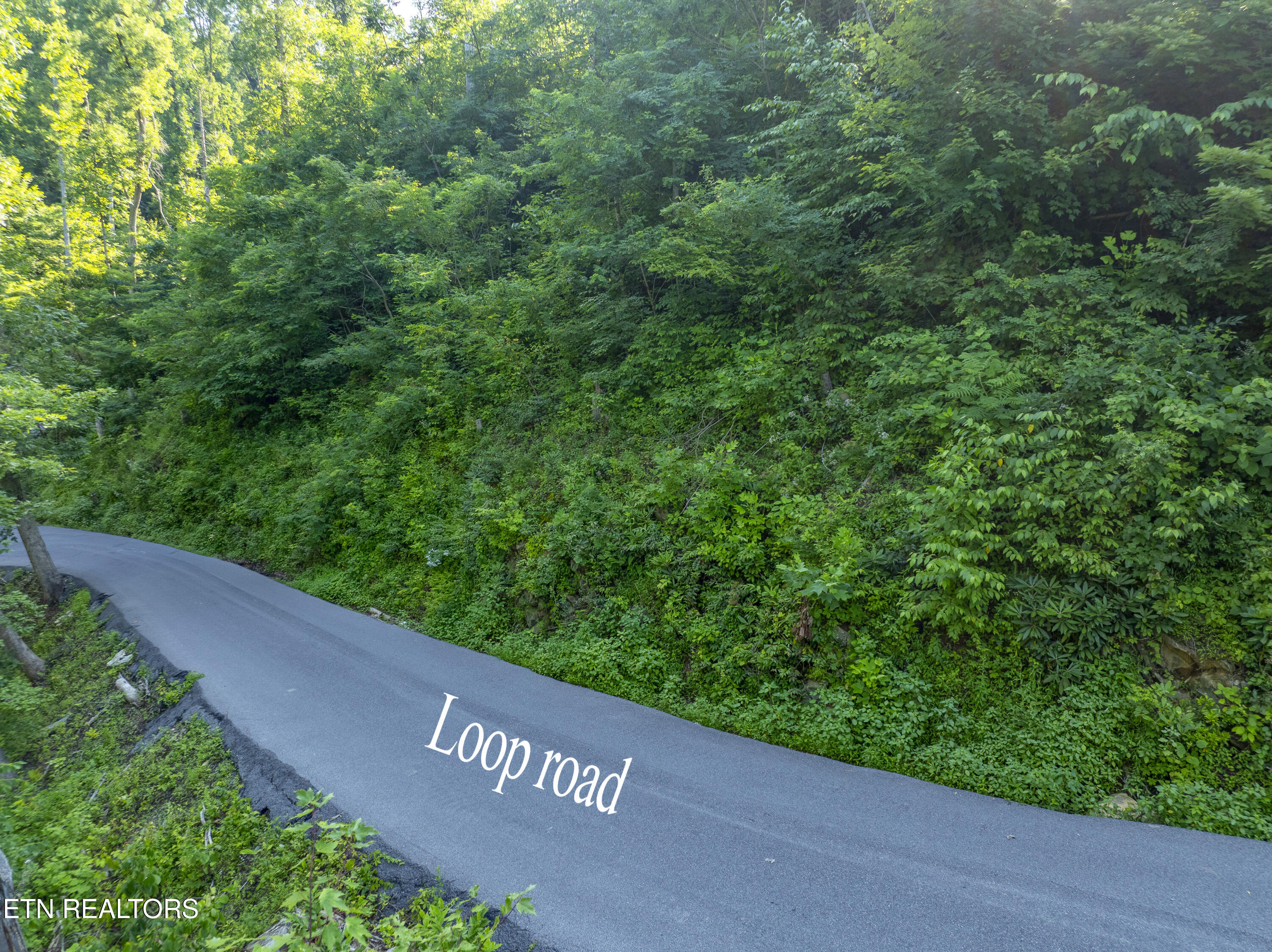 Loop Road Gatlinburg TN 37738