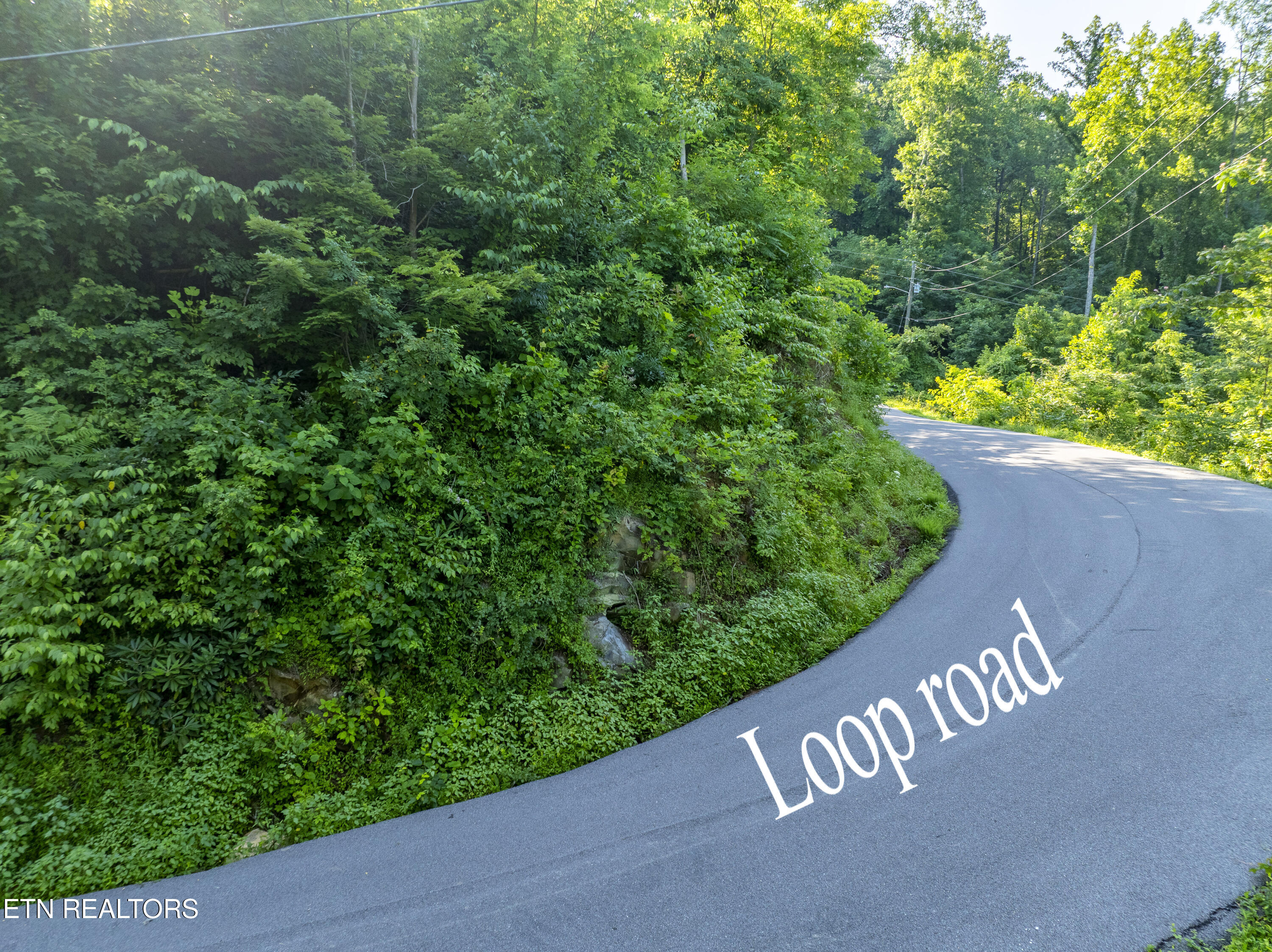 Loop Road Gatlinburg TN 37738