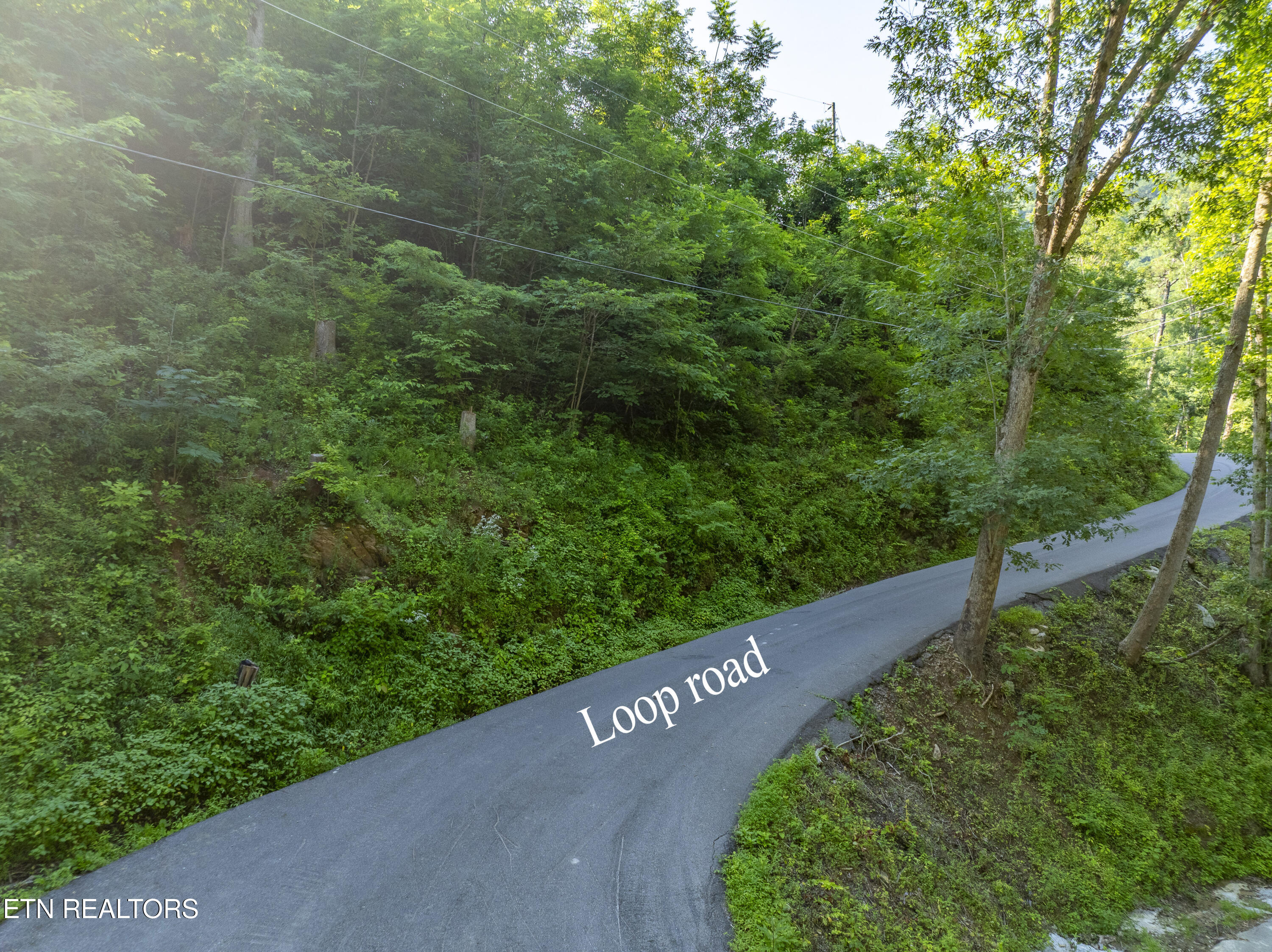 Loop Road Gatlinburg TN 37738