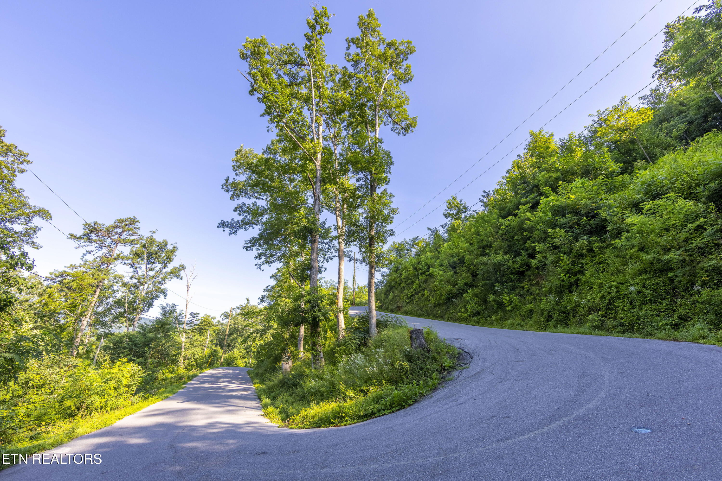 Loop Road Gatlinburg TN 37738
