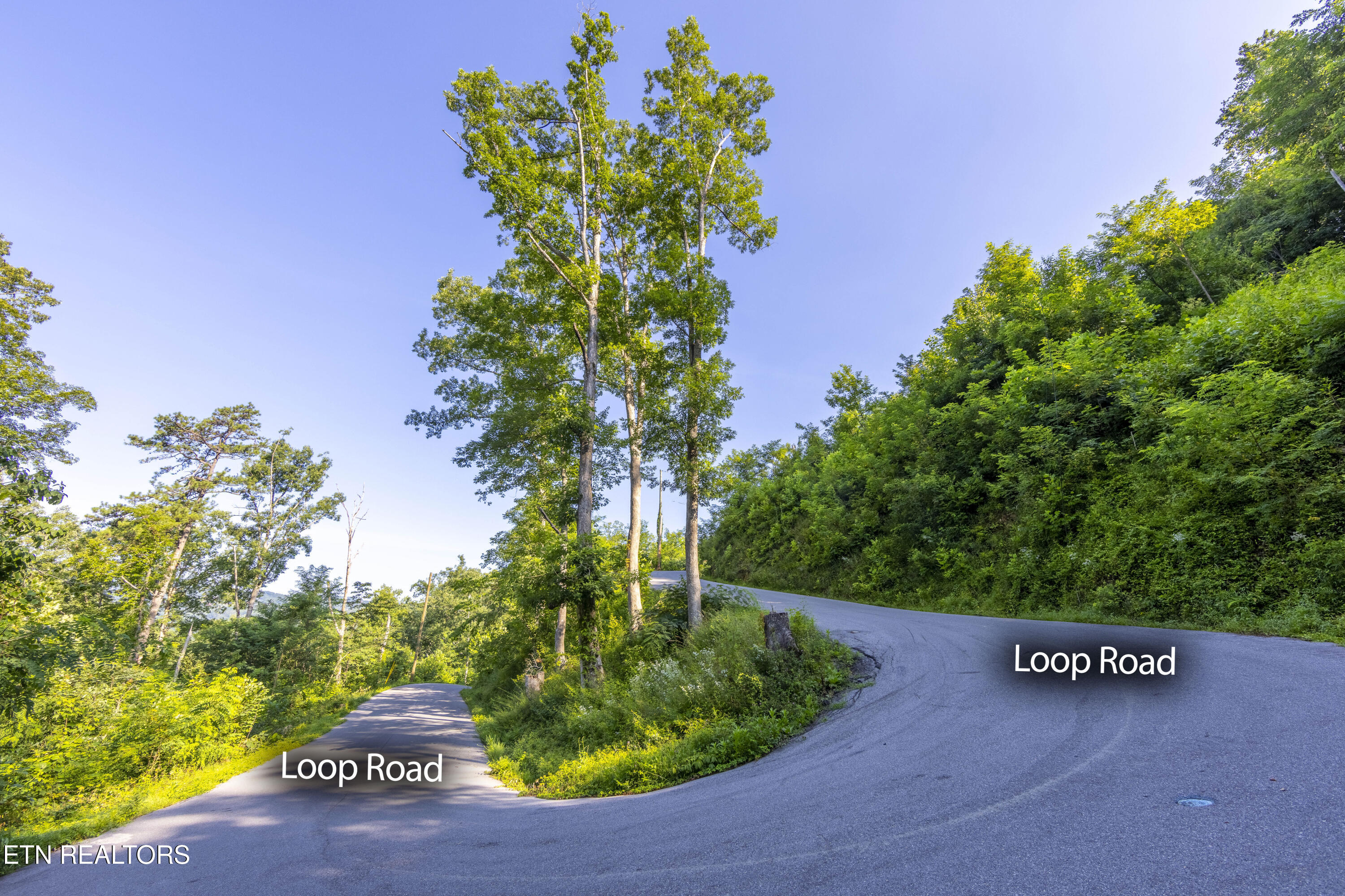 Loop Road Gatlinburg TN 37738