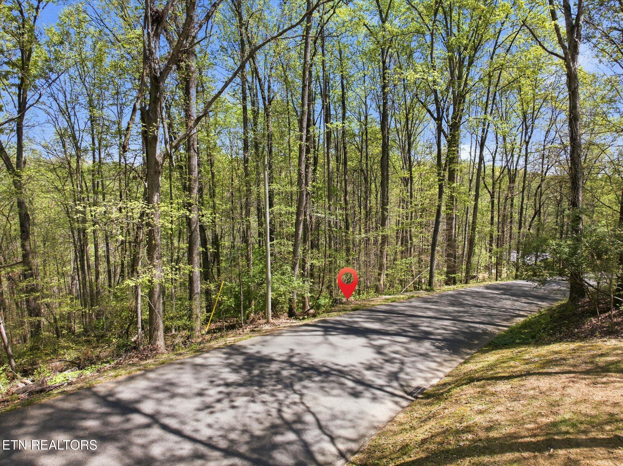 Skyline Drive Clinton TN 37716