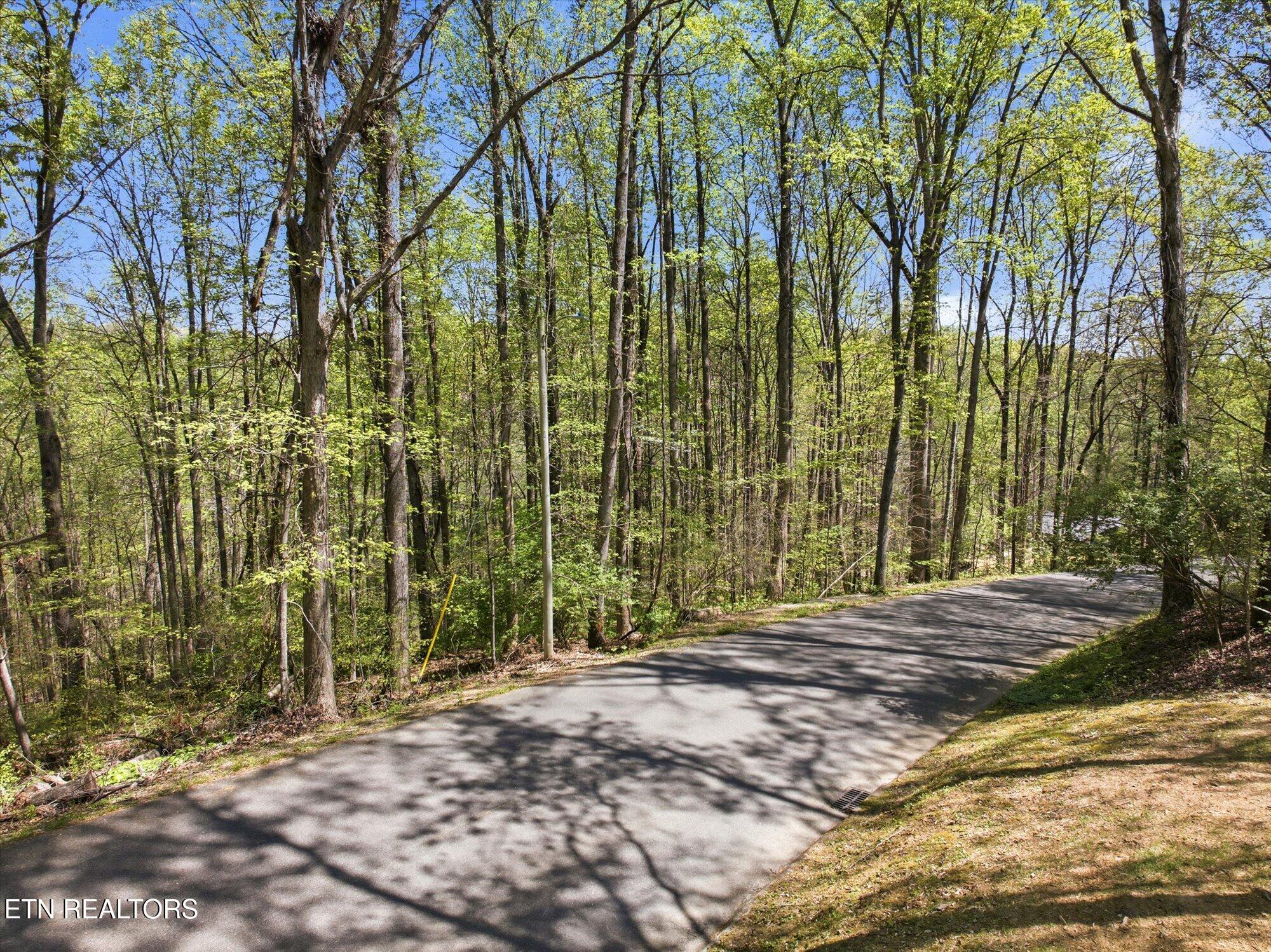 Skyline Drive Clinton TN 37716