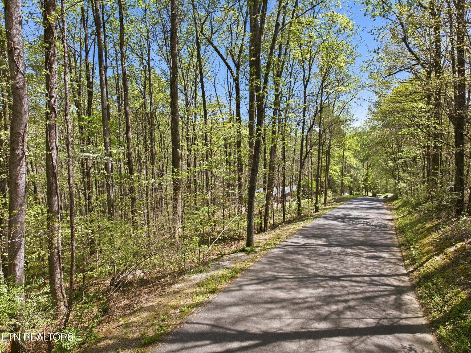 Skyline Drive Clinton TN 37716