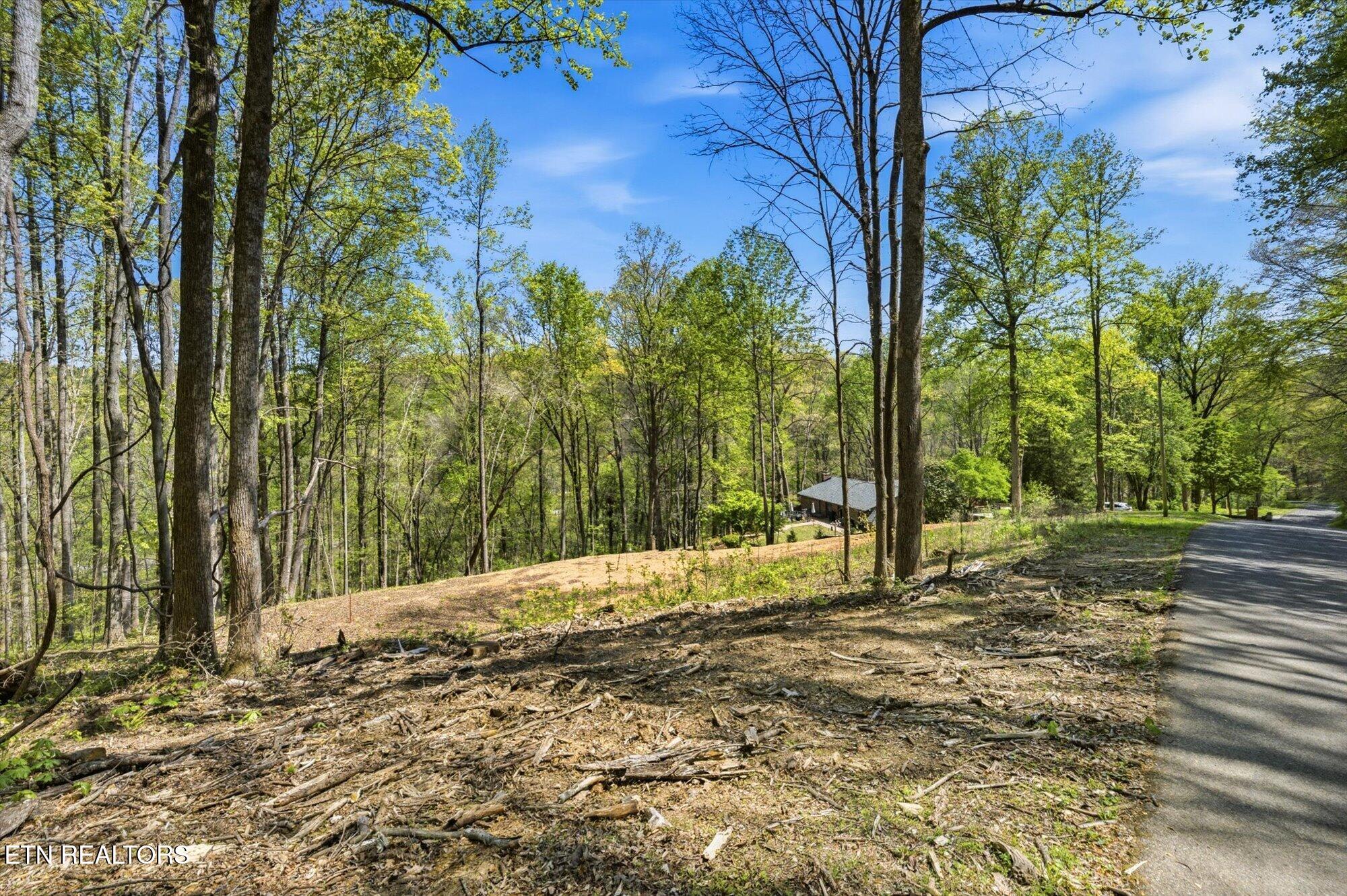 Skyline Drive Clinton TN 37716