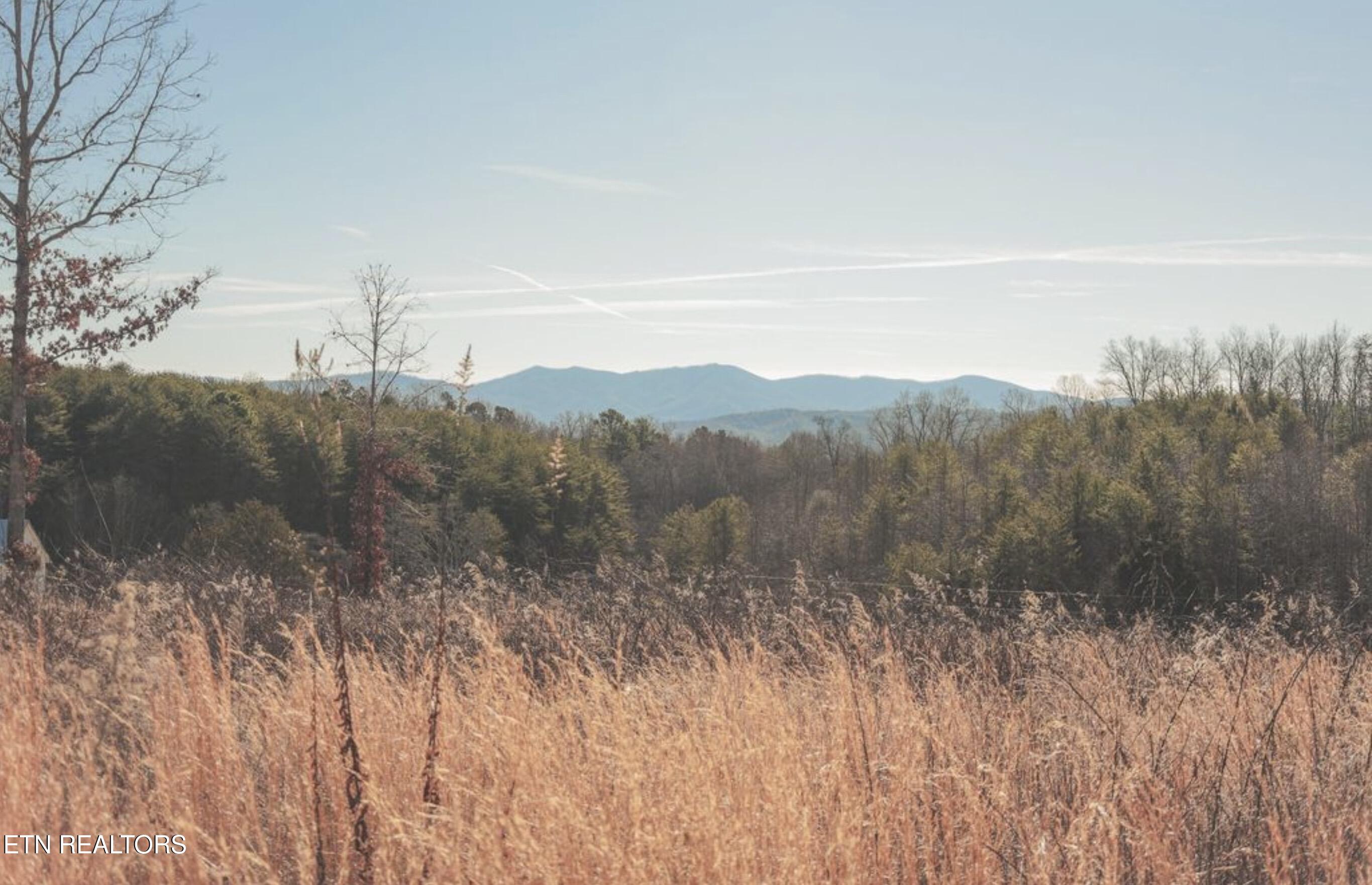 Lot 10 & 11 Curtis Road Tellico Plains TN 37385