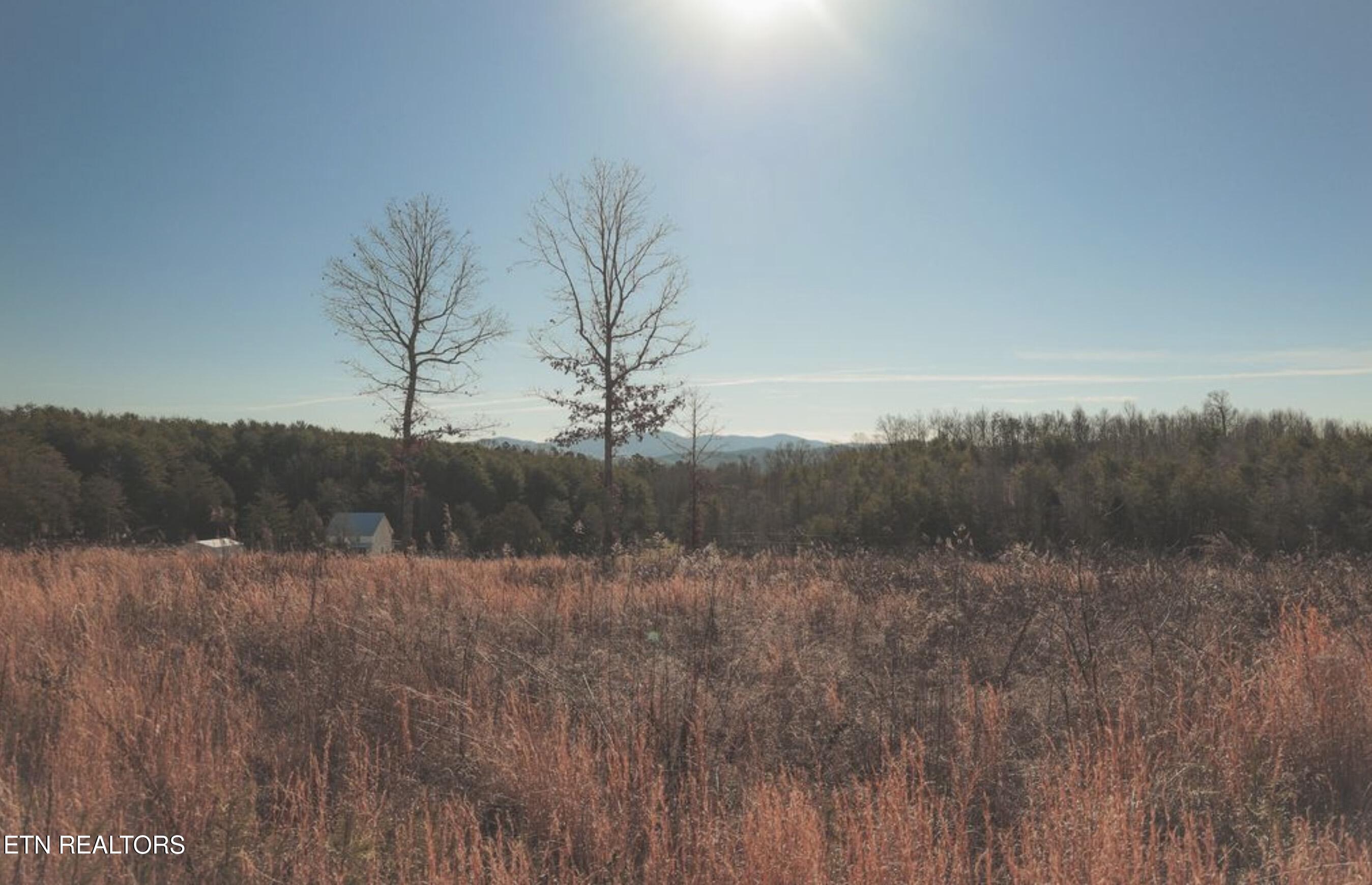 Lot 10 & 11 Curtis Road Tellico Plains TN 37385
