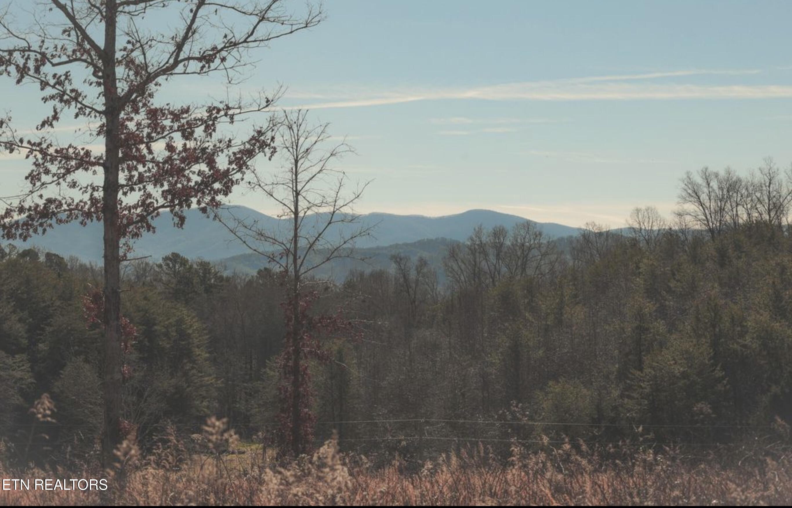 Lot 10 & 11 Curtis Road Tellico Plains TN 37385