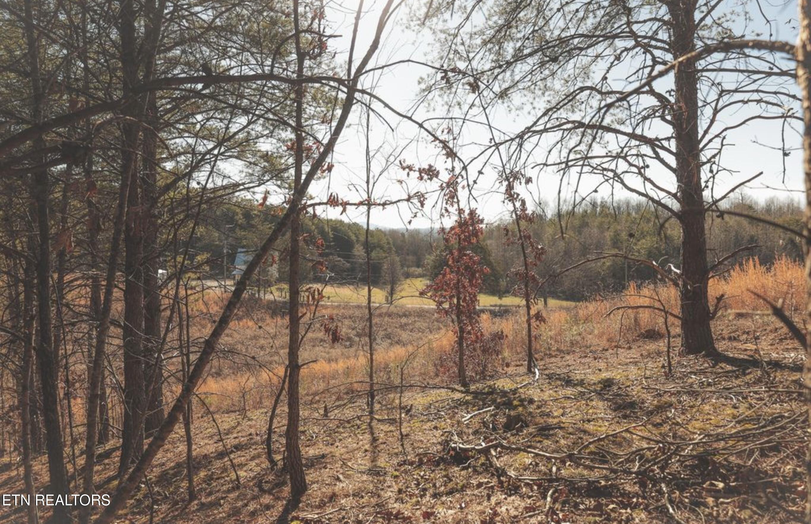 Lot 10 & 11 Curtis Road Tellico Plains TN 37385