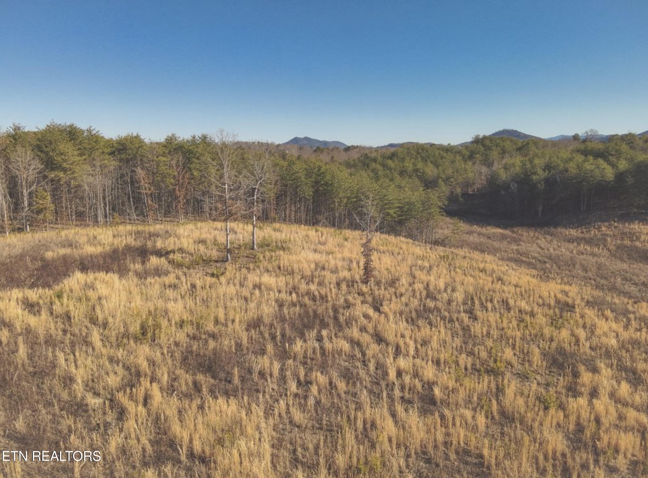 Lot 10 & 11 Curtis Road Tellico Plains TN 37385