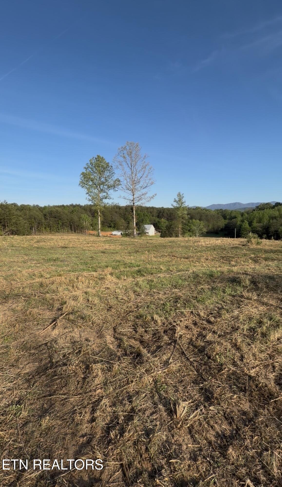 Lot 10 & 11 Curtis Road Tellico Plains TN 37385