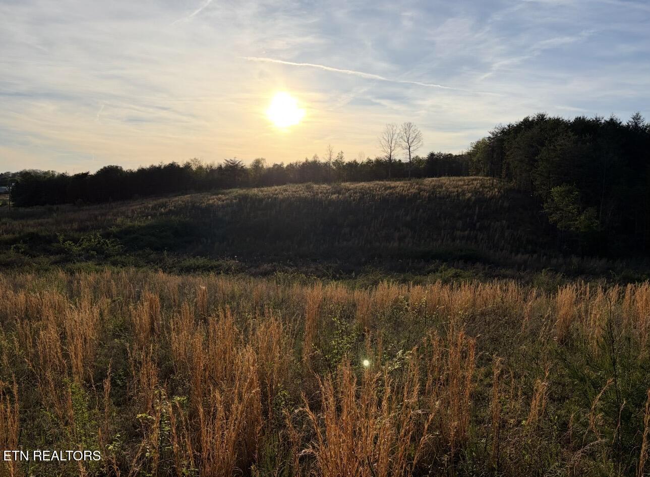 Lot 10 & 11 Curtis Road Tellico Plains TN 37385