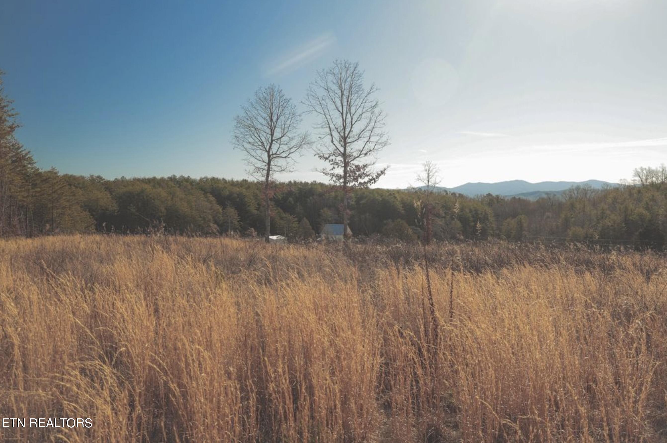 Lot 10 & 11 Curtis Road Tellico Plains TN 37385