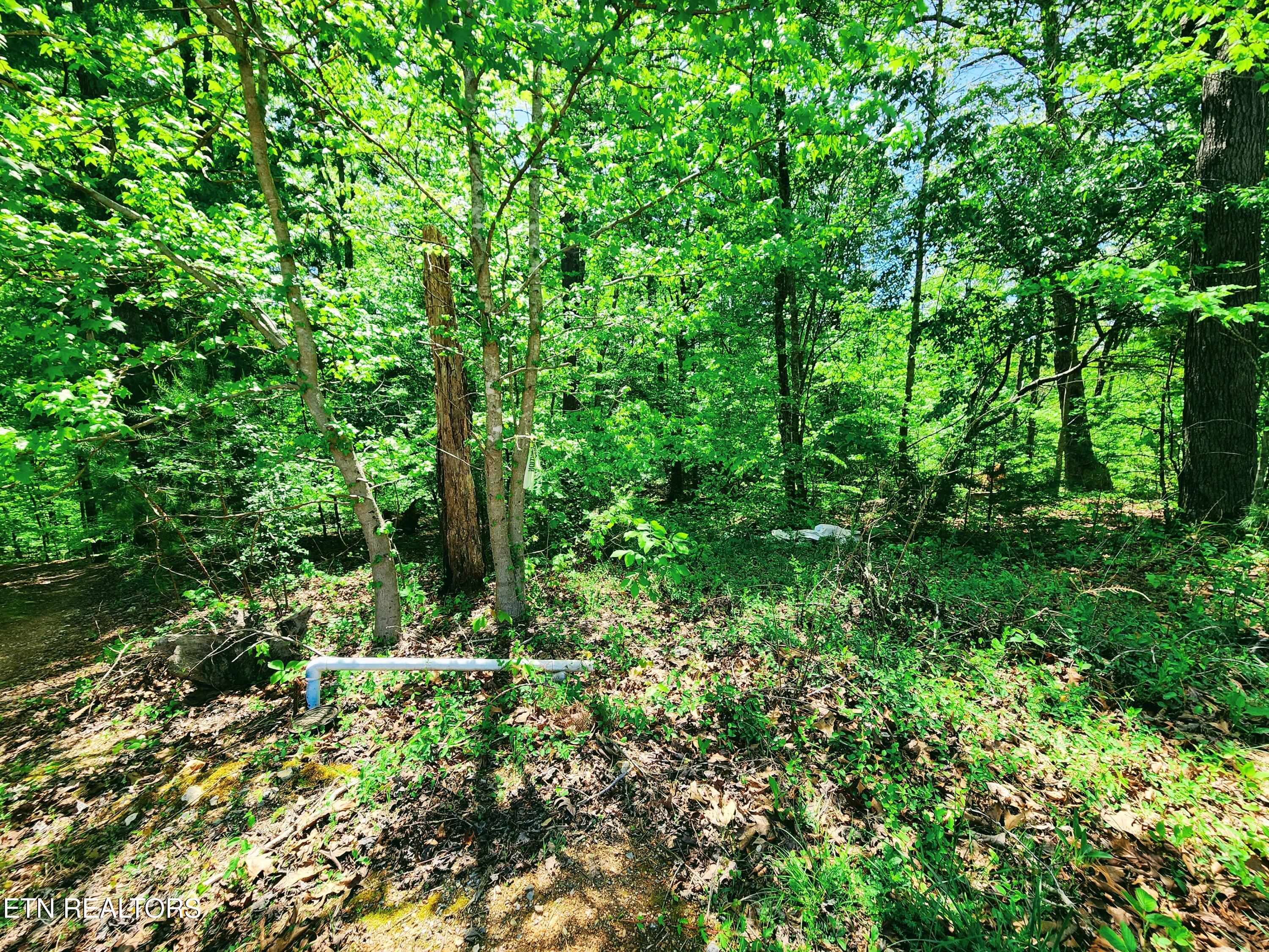 Evergreen Cove Kingston TN 37763