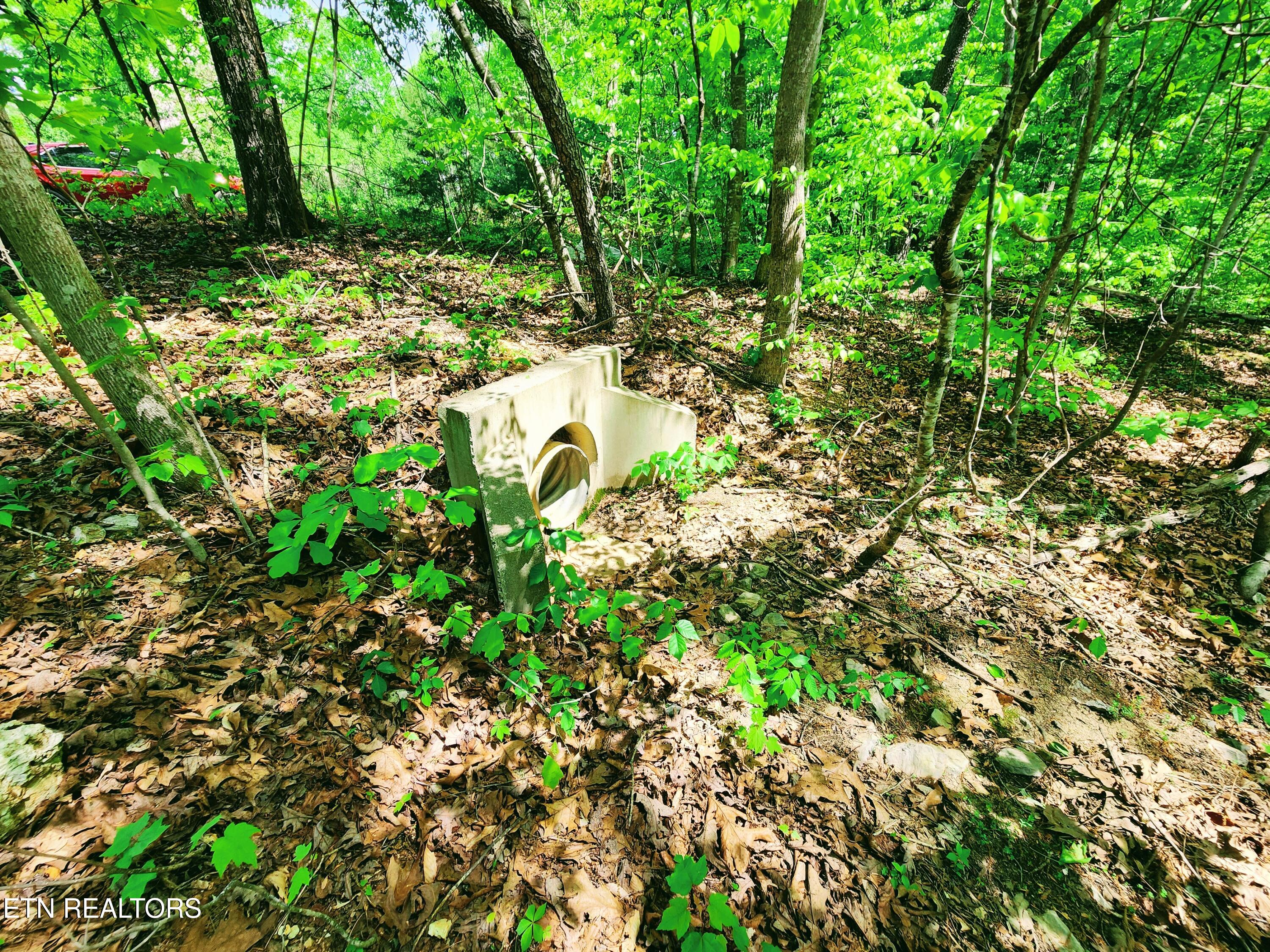 Evergreen Cove Kingston TN 37763