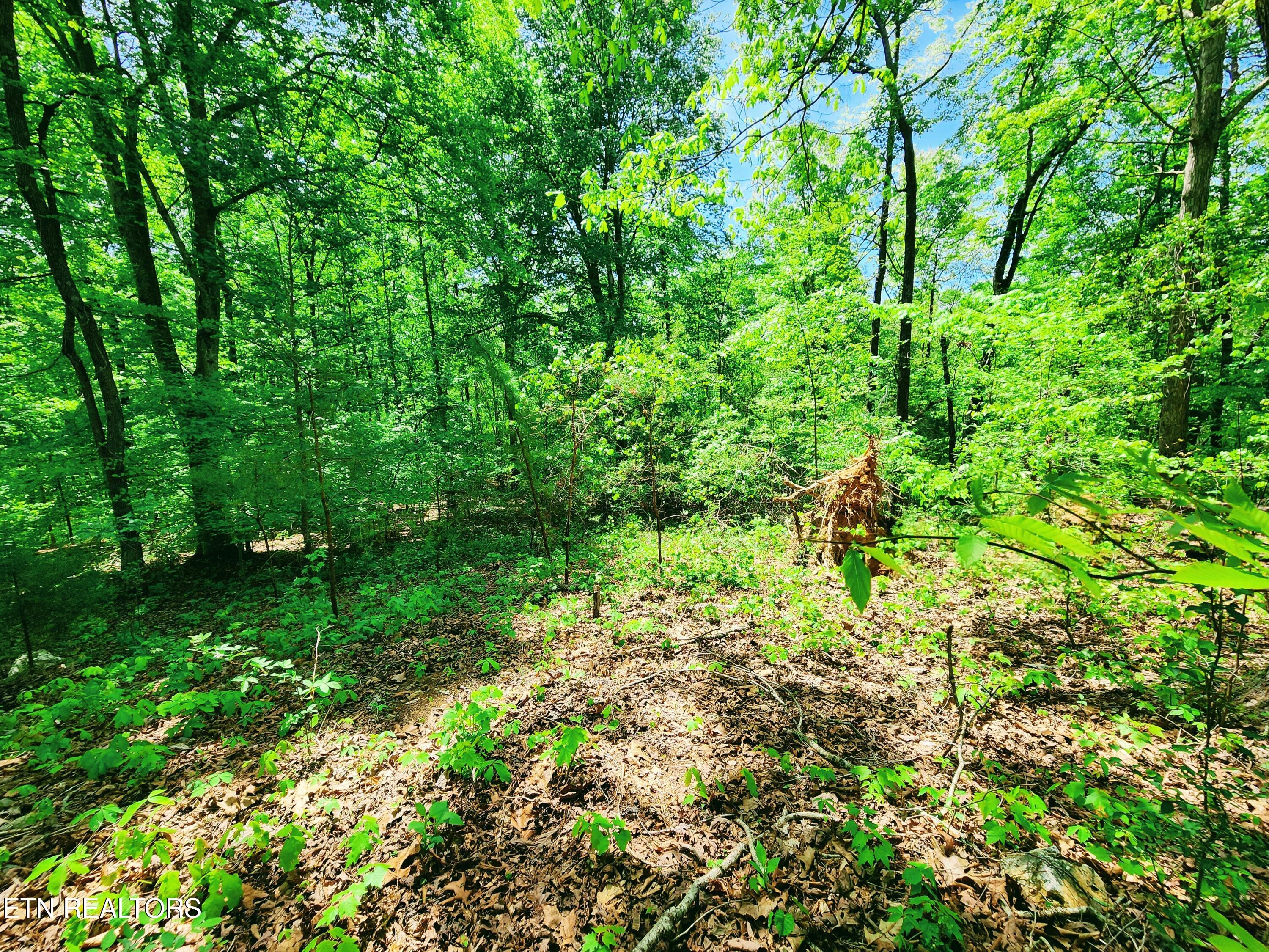Evergreen Cove Kingston TN 37763
