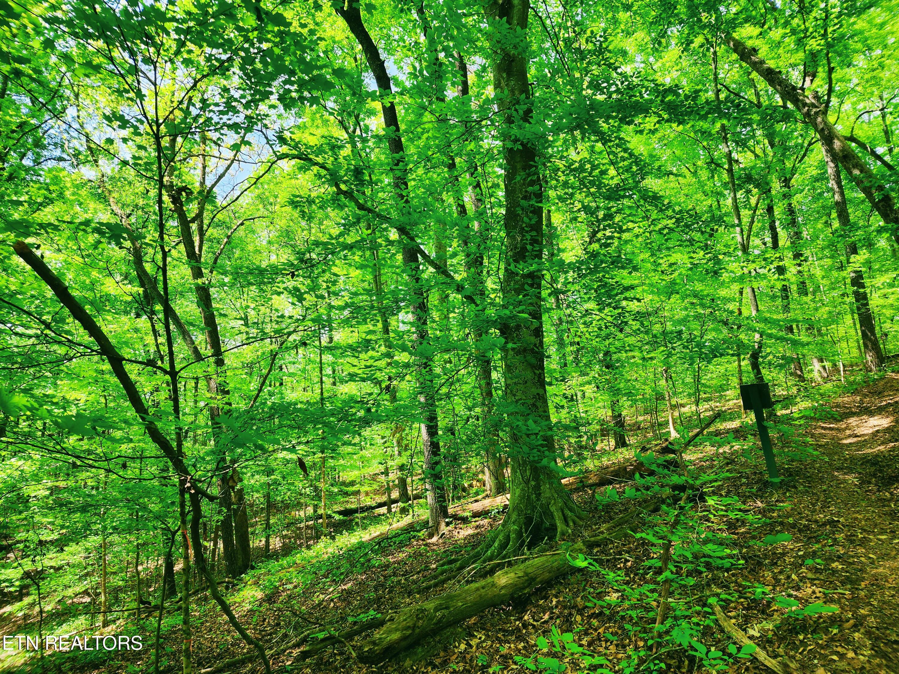 Evergreen Cove Kingston TN 37763