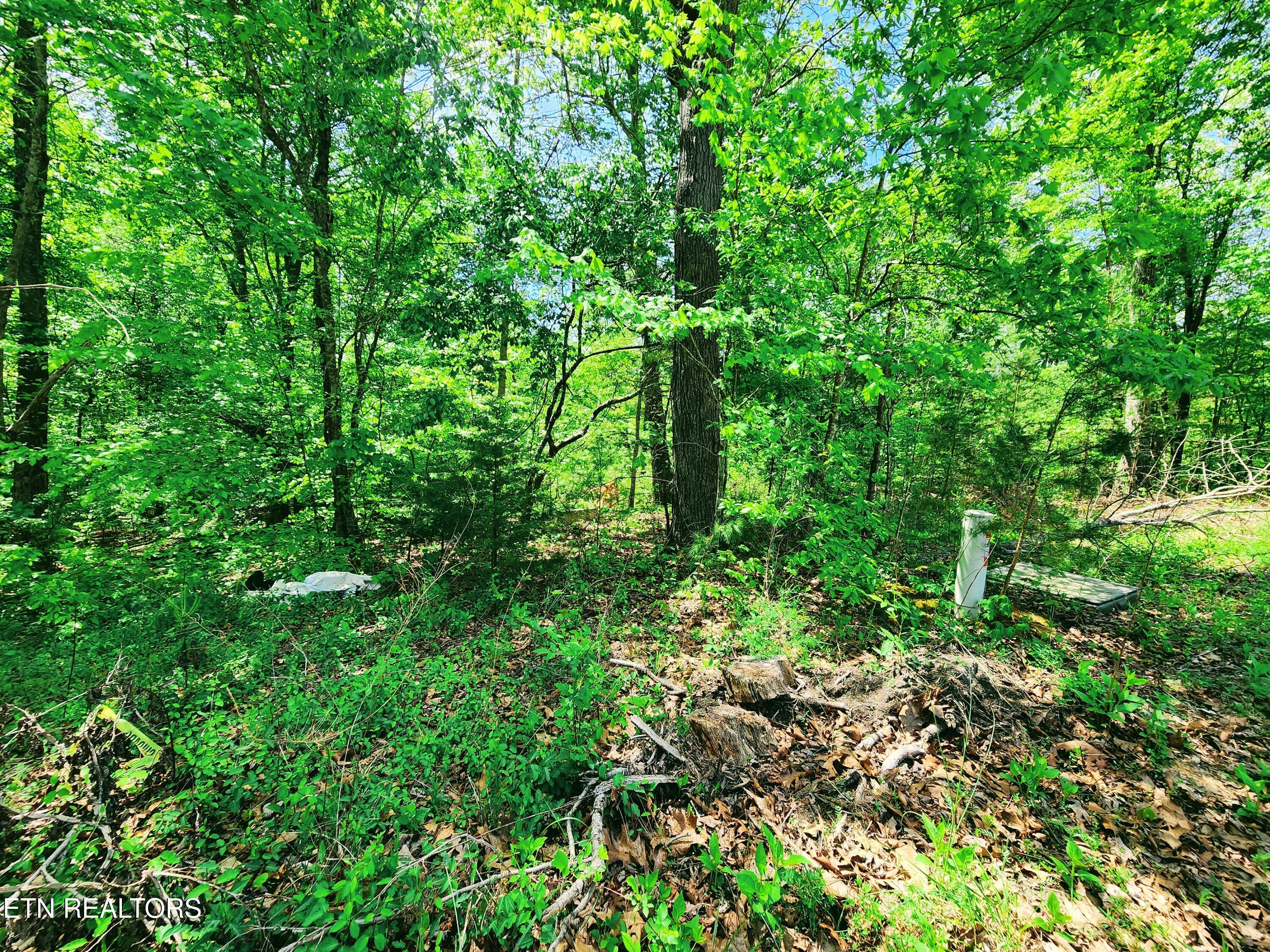 Evergreen Cove Kingston TN 37763