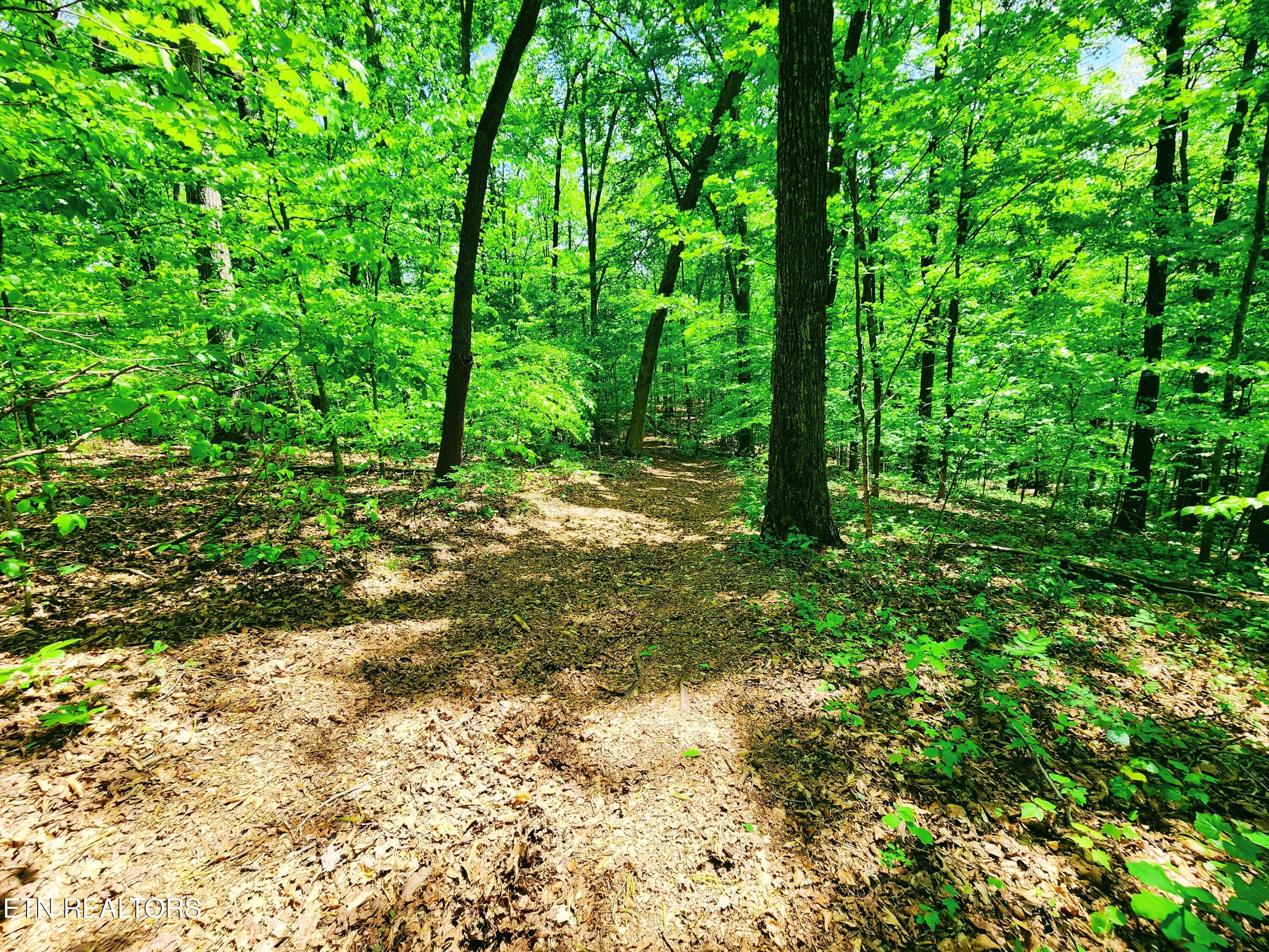 Evergreen Cove Kingston TN 37763