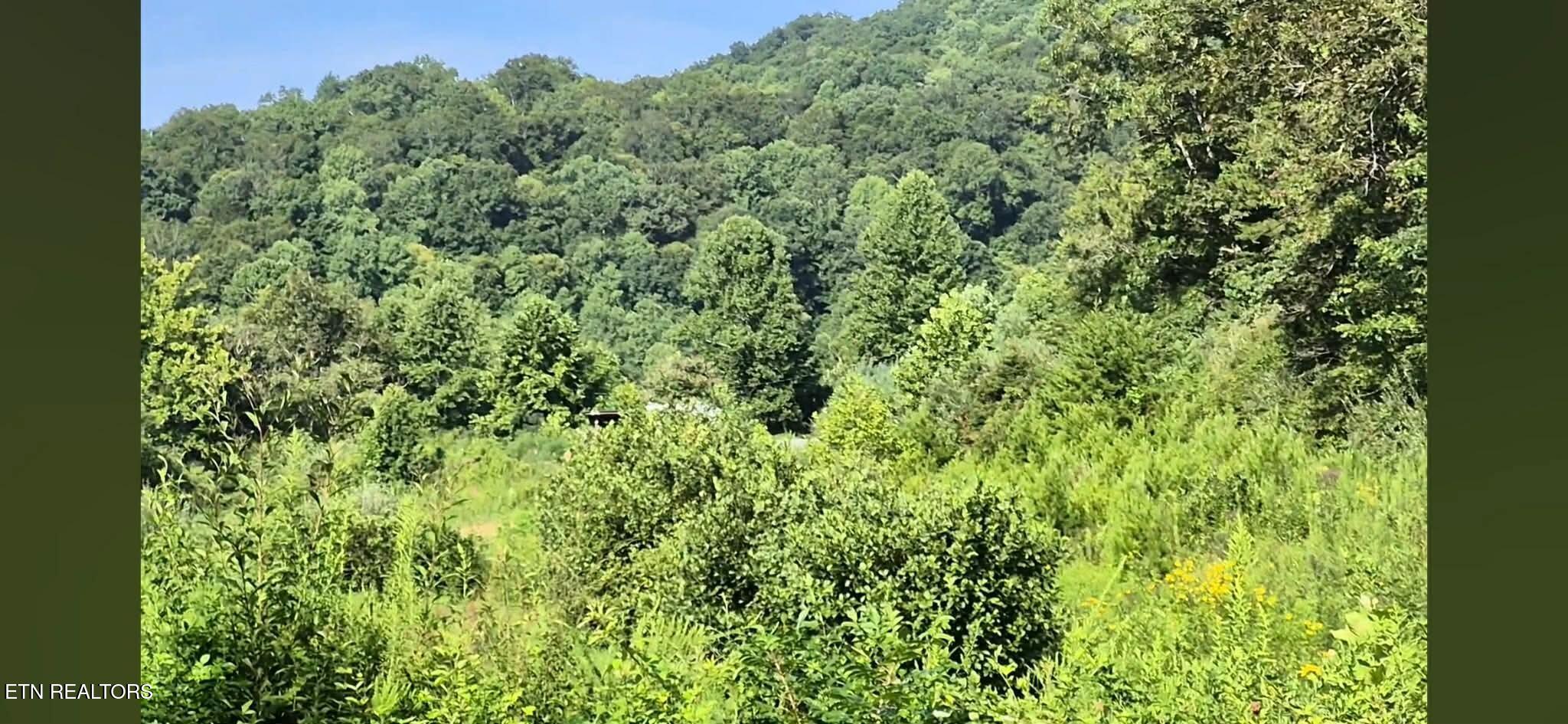 216 Lower Capuchin Road Winfield TN 37892